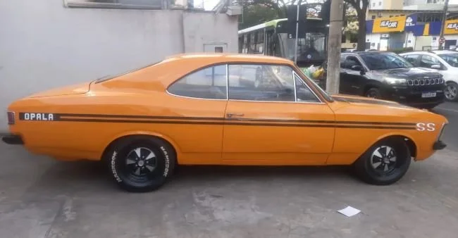 opala_5.JPG