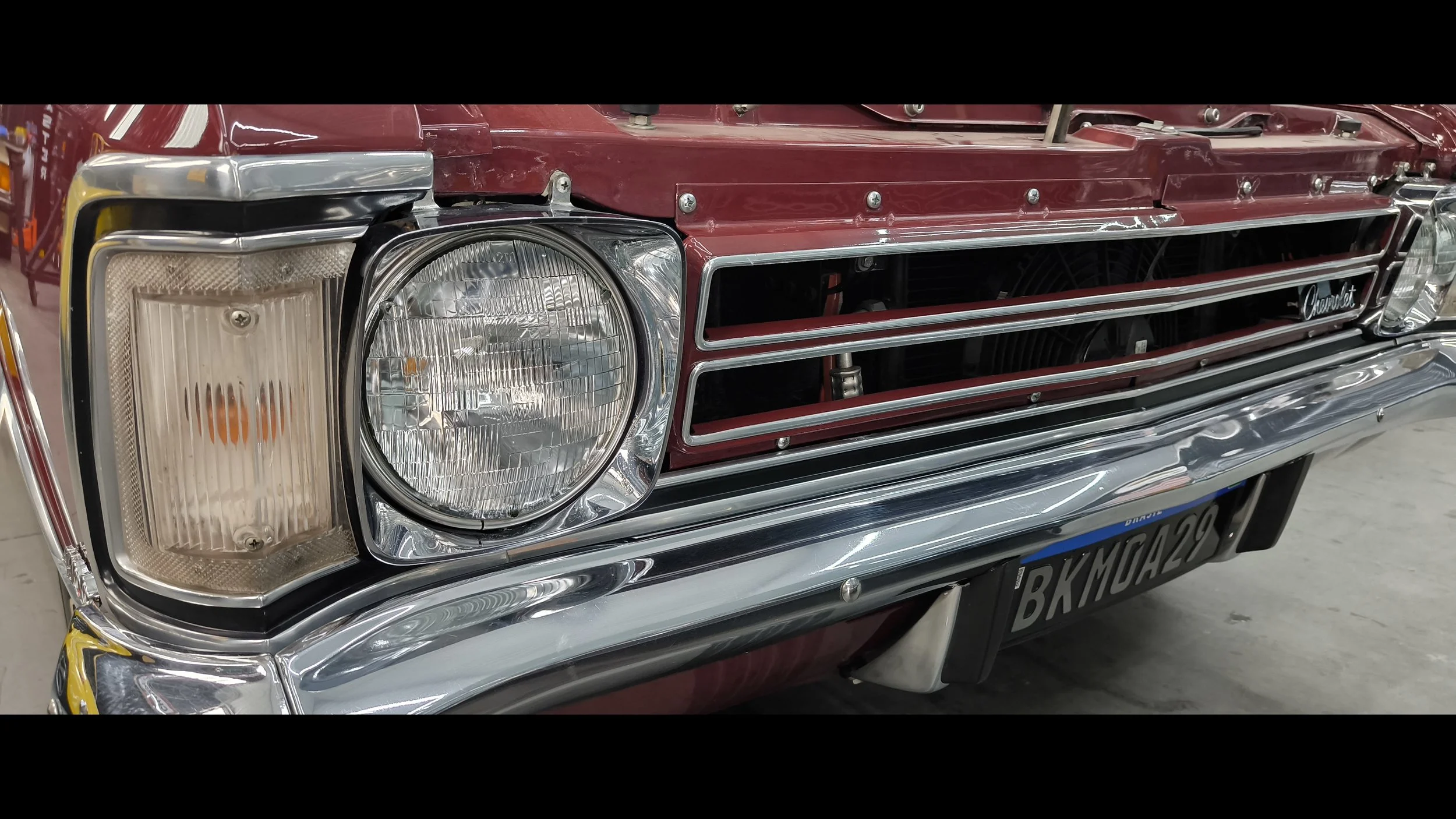opala for sale (29).jpg