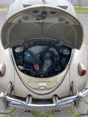 vw beetle oval for sale (16).jpeg
