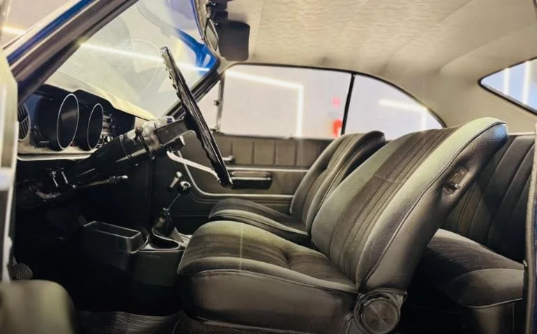 opala for sale_6.JPG