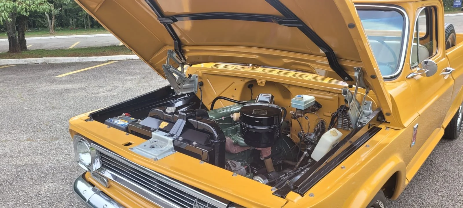 Chevrolet C10 for sale (1).jpeg