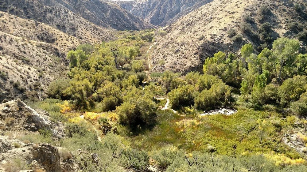 A dry, rugged canyon with green trees and shrubs growing in the valley, surrounded by steep, rocky hills.