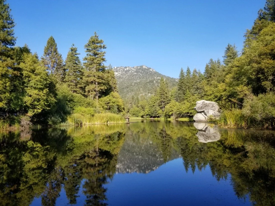 A calm river surrounded by green trees and mountains under a clear blue sky, with a reflection of the scenery in the water.