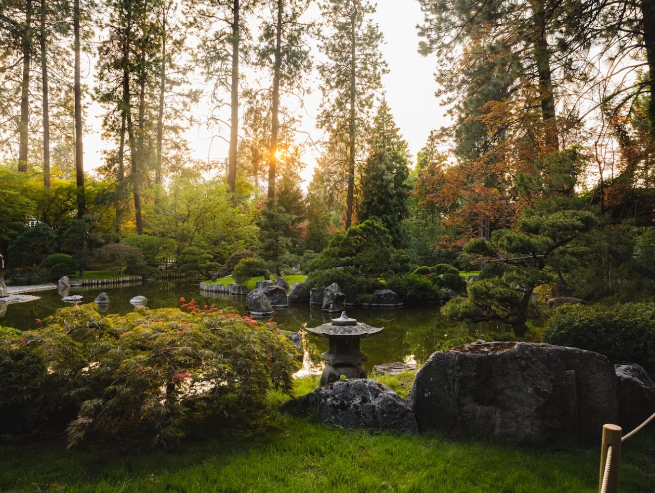 Japanese garden with pond, rocks, trees, and traditional stone lantern at sunset.