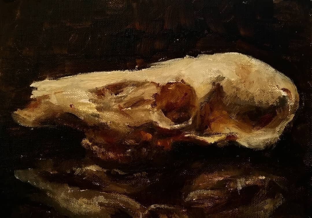 Deer skull study- oil on 5&quot;x7&quot; panel
I'd love to work more with different animal skulls and really try to understand their anatomy, but this painting is a start :)

-
-
-
#deer #deerskull #deerskullart #deerstudy #stilllife #stilllifepainti