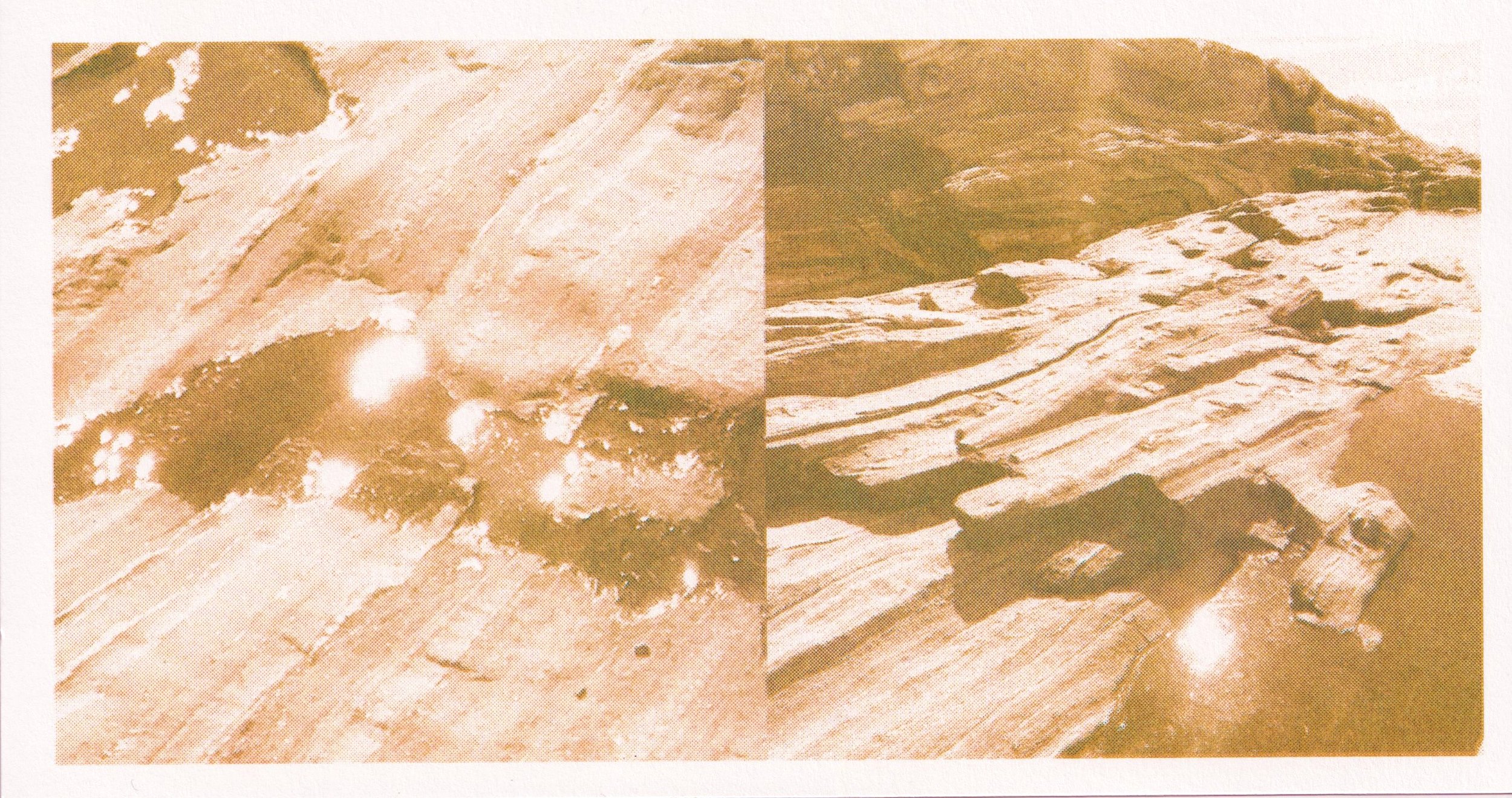 postcard (pemaquid gold)