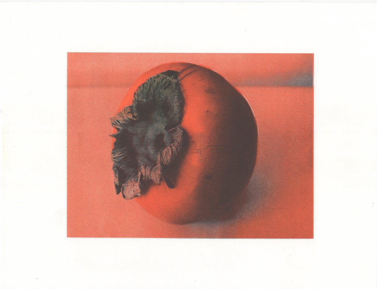 蜂屋柿/persimmon (orange variation)