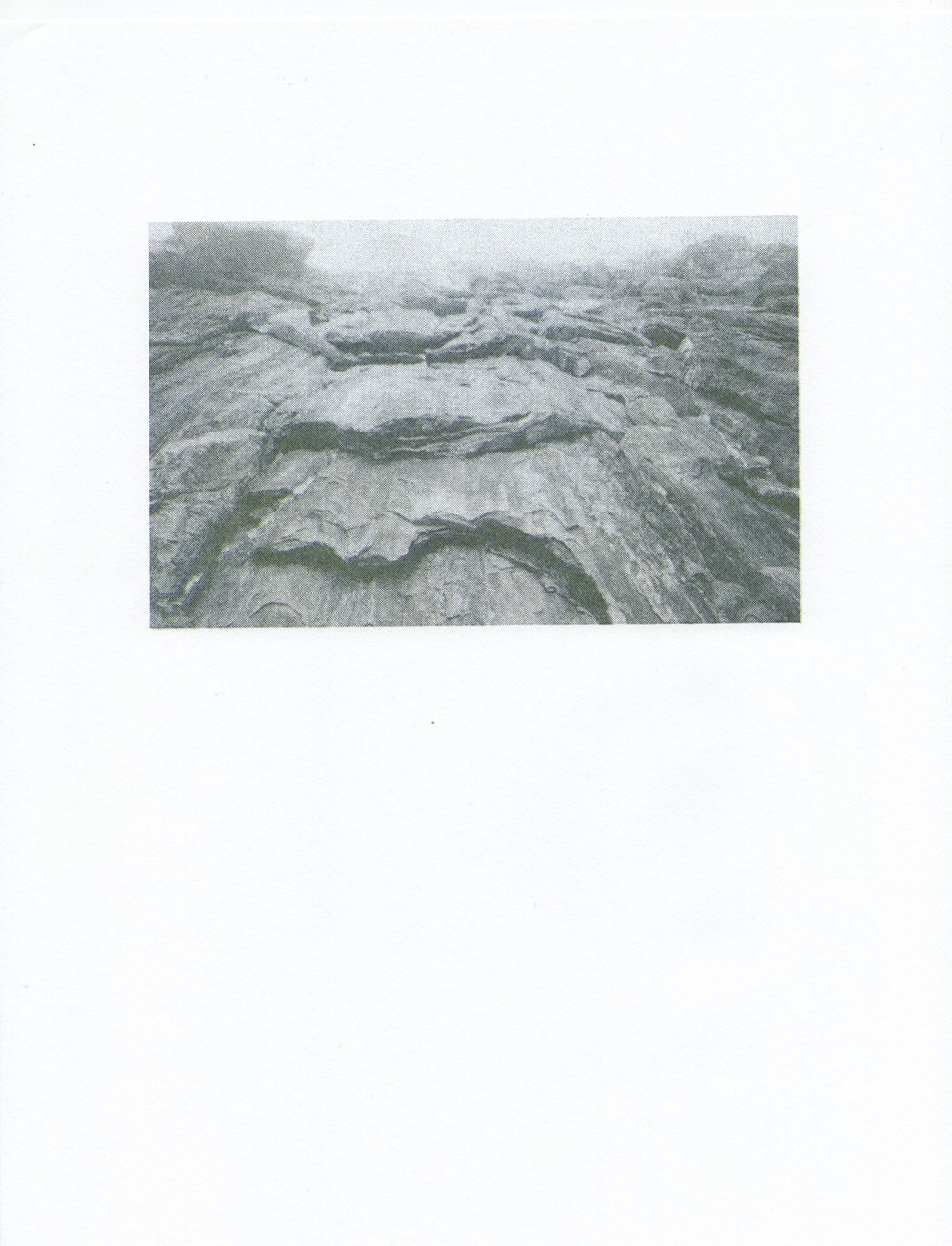 pemaquid polaroid