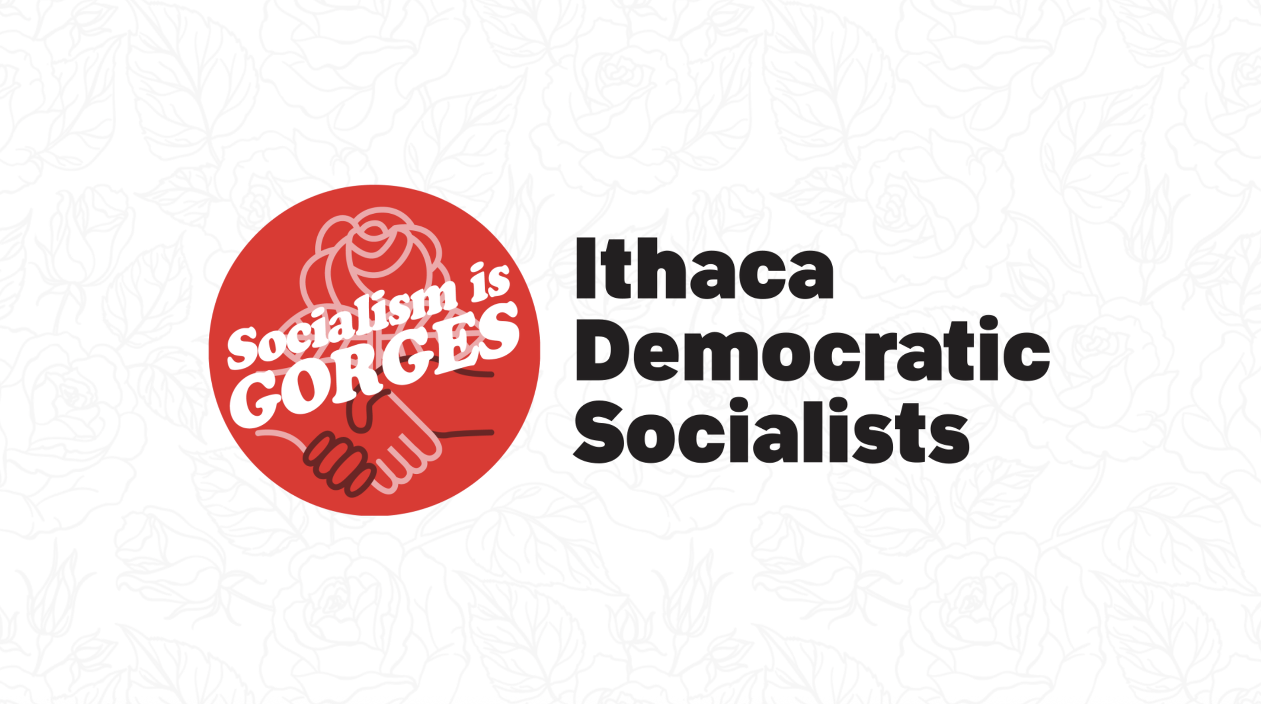 Ithaca DSA and Ithaca Mayor Robert Cantelmo condemn US Congressman Josh Riley’s silence on the Iran war