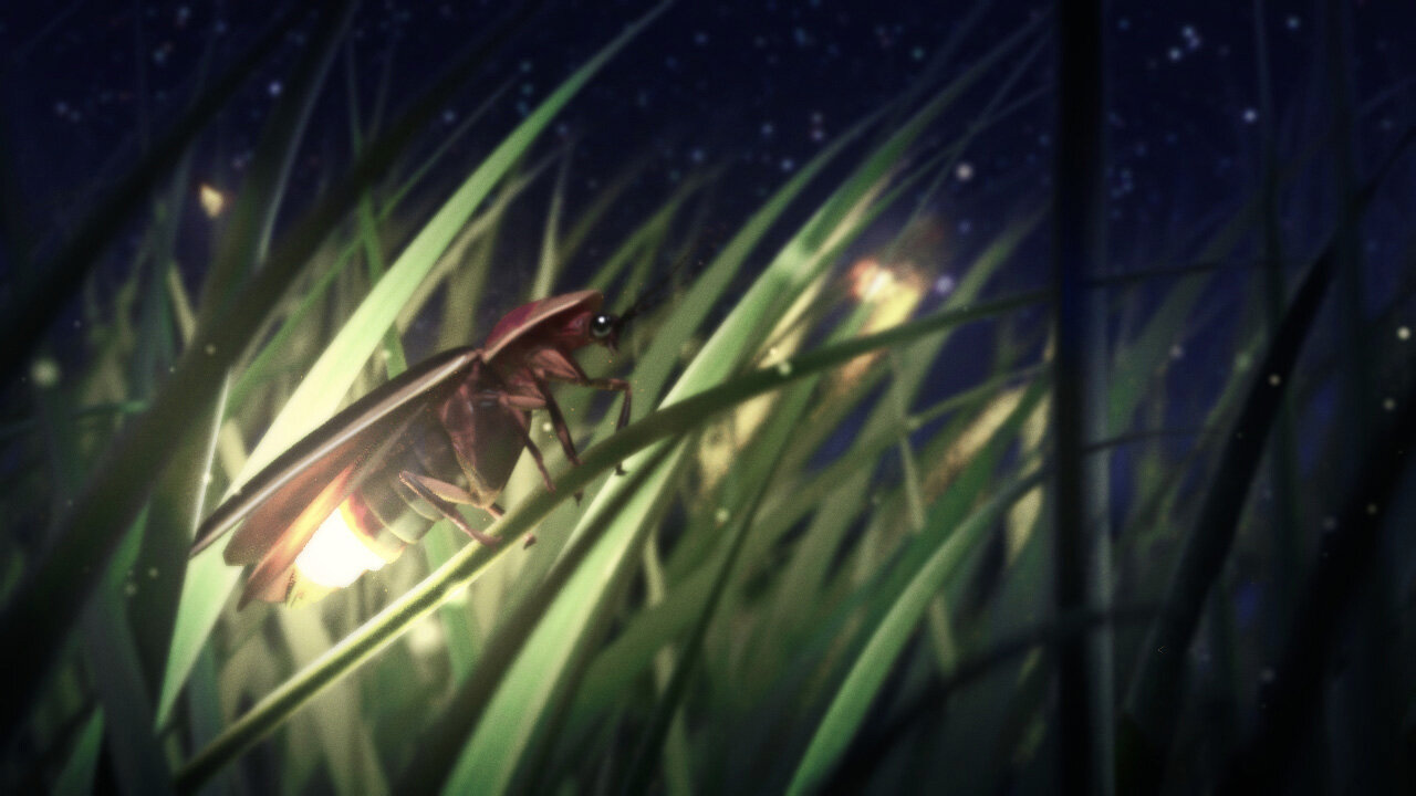 FireFly2.jpg
