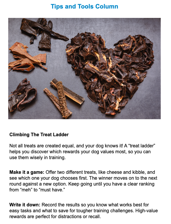 newsletter article column tips and tools dog treats