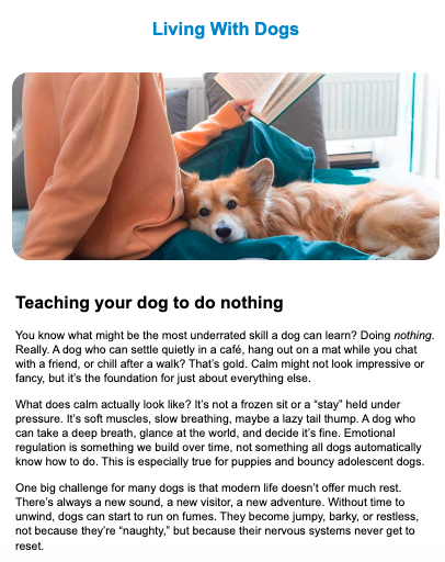Newsletter article column living with dogs