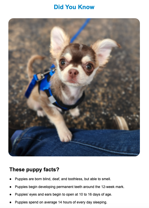 newsletter article column did you know these puppy facts