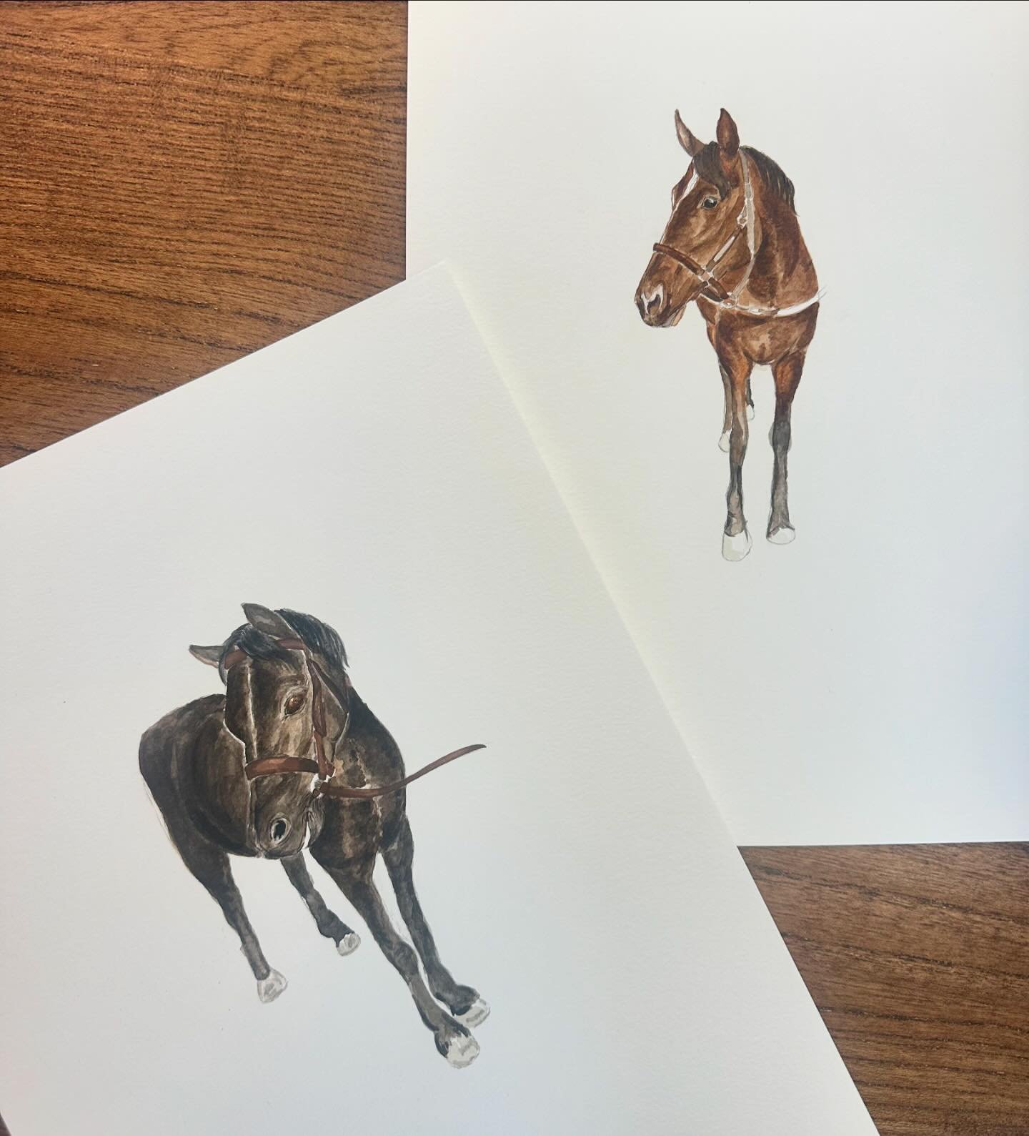 Horse portraits 🐎✨ in addition to the painting each pet portrait I paint is scanned in and used for stationery, prints, or anything you&rsquo;d like 🤍

#petportrait #handpainted #horseportrait #watercolor #holidaygift #annaschwartzart