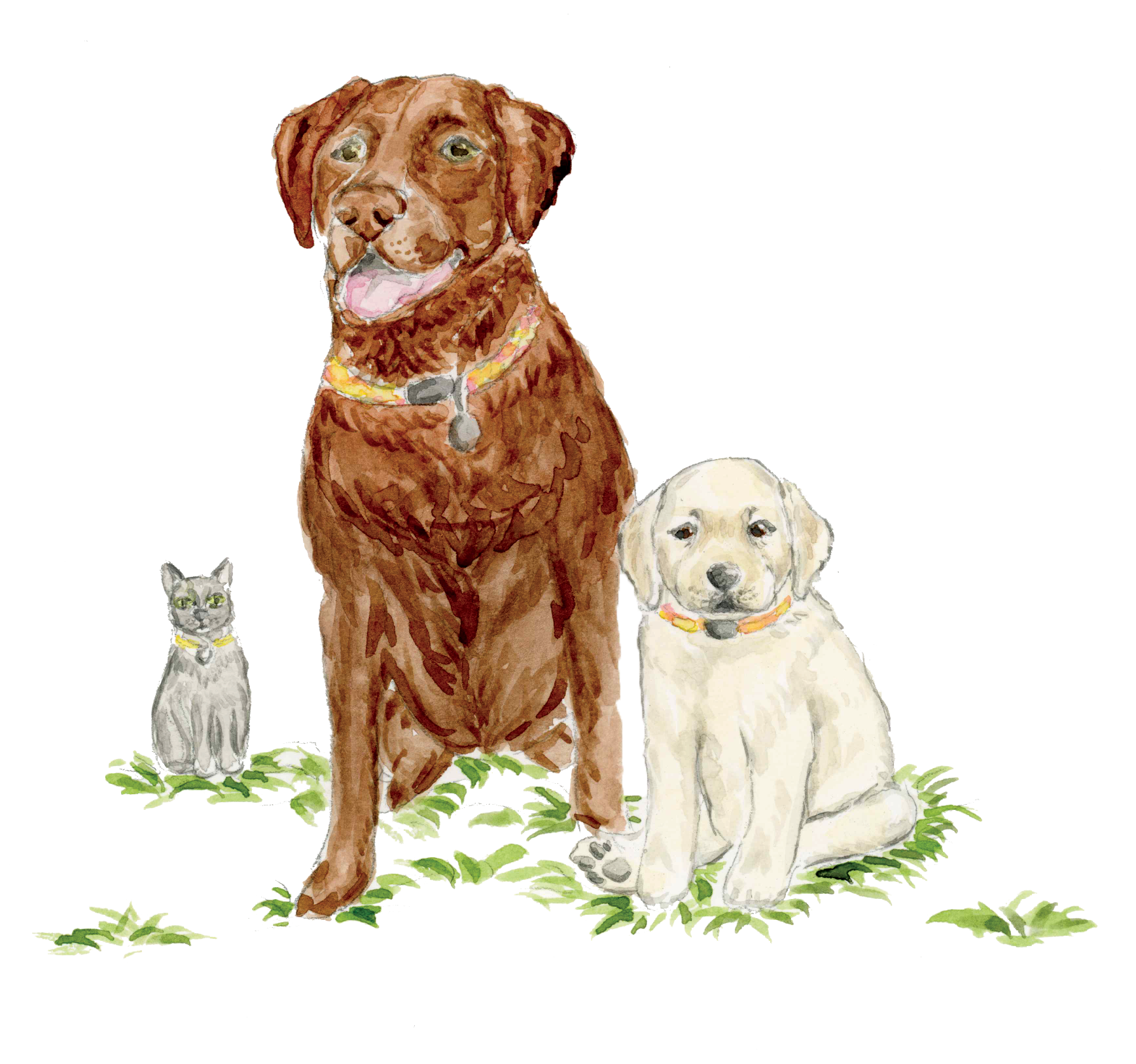 ChiaraBell_PetPortrait.png