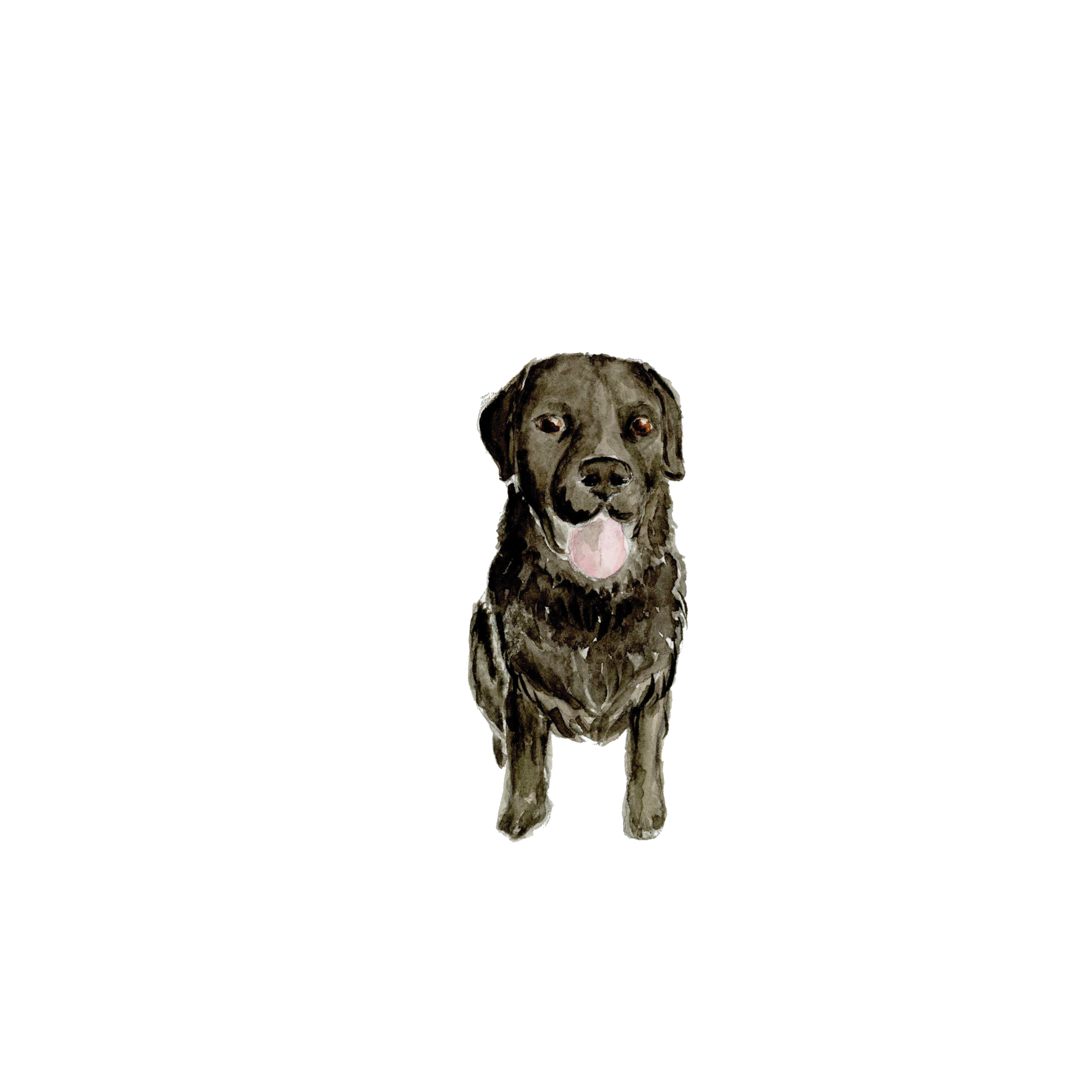 PetPortrait.png