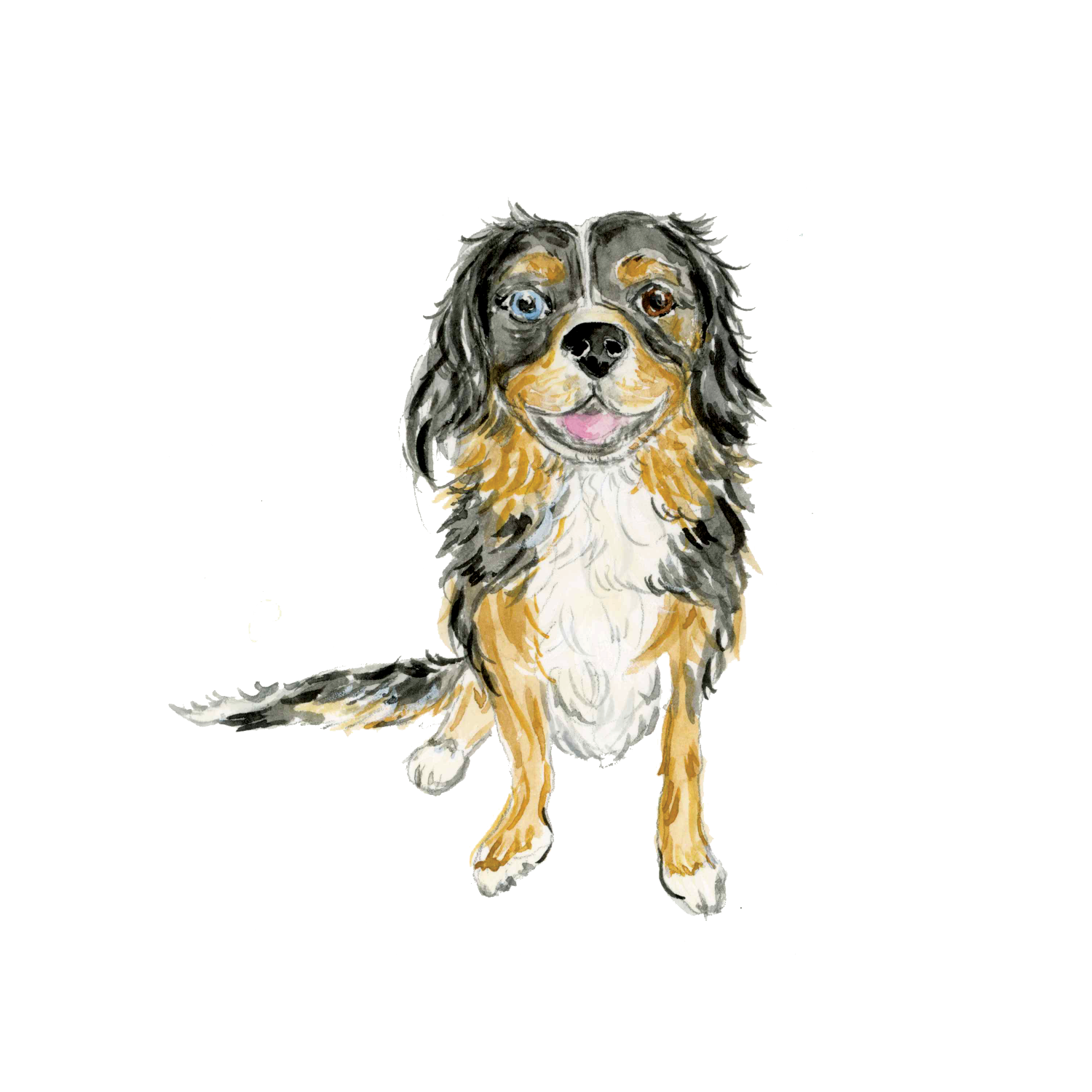 Blueberry_PetPortrait.png
