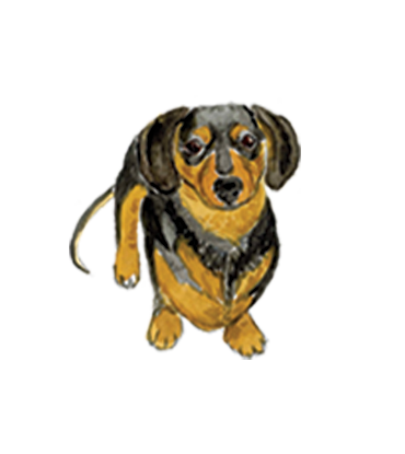 PetPortrait1.png