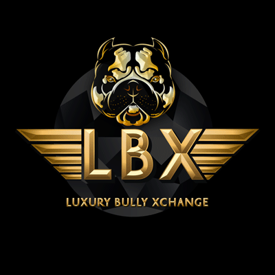 Logo for LBX Luxury Bully Xchange featuring a stylized bulldog face with gold and black design elements.