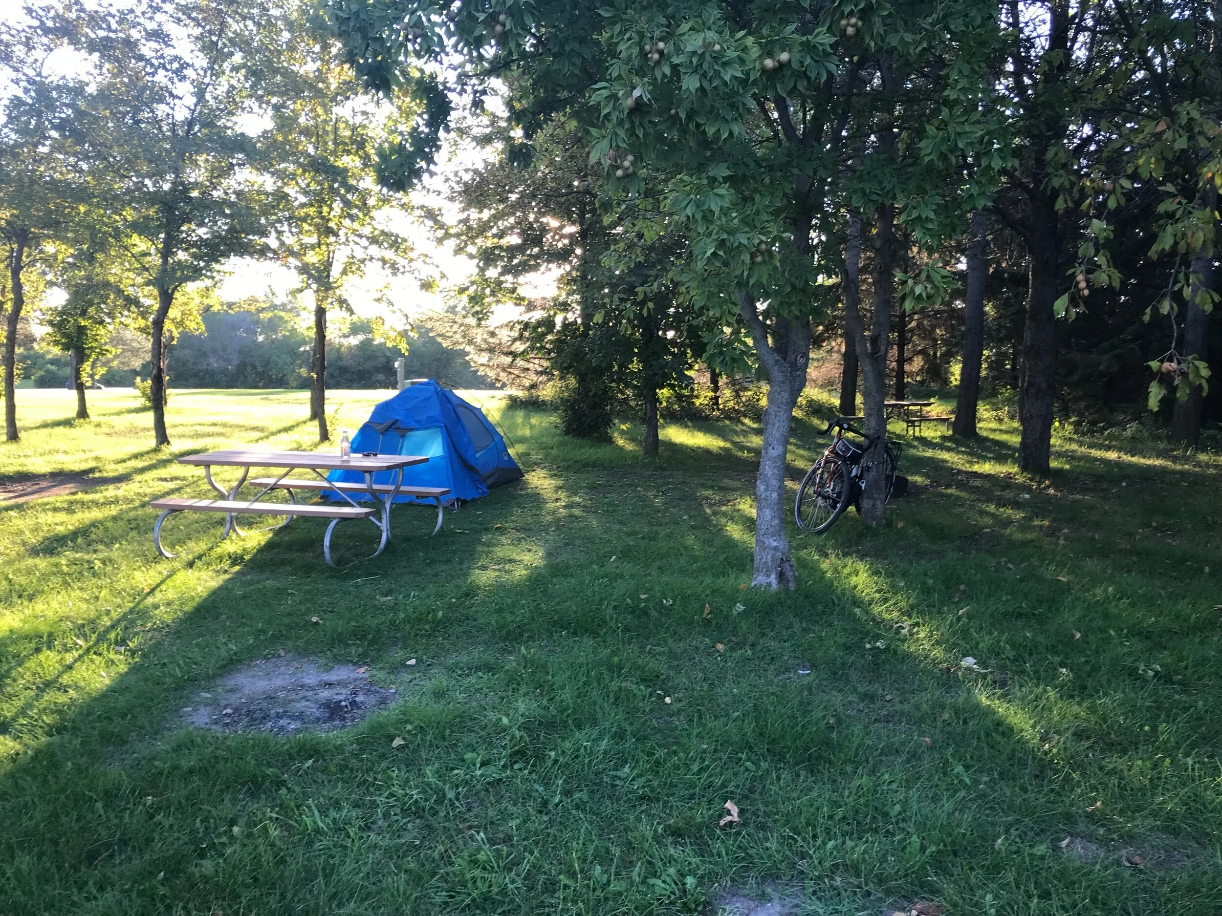 The adventure via phone calls and texts