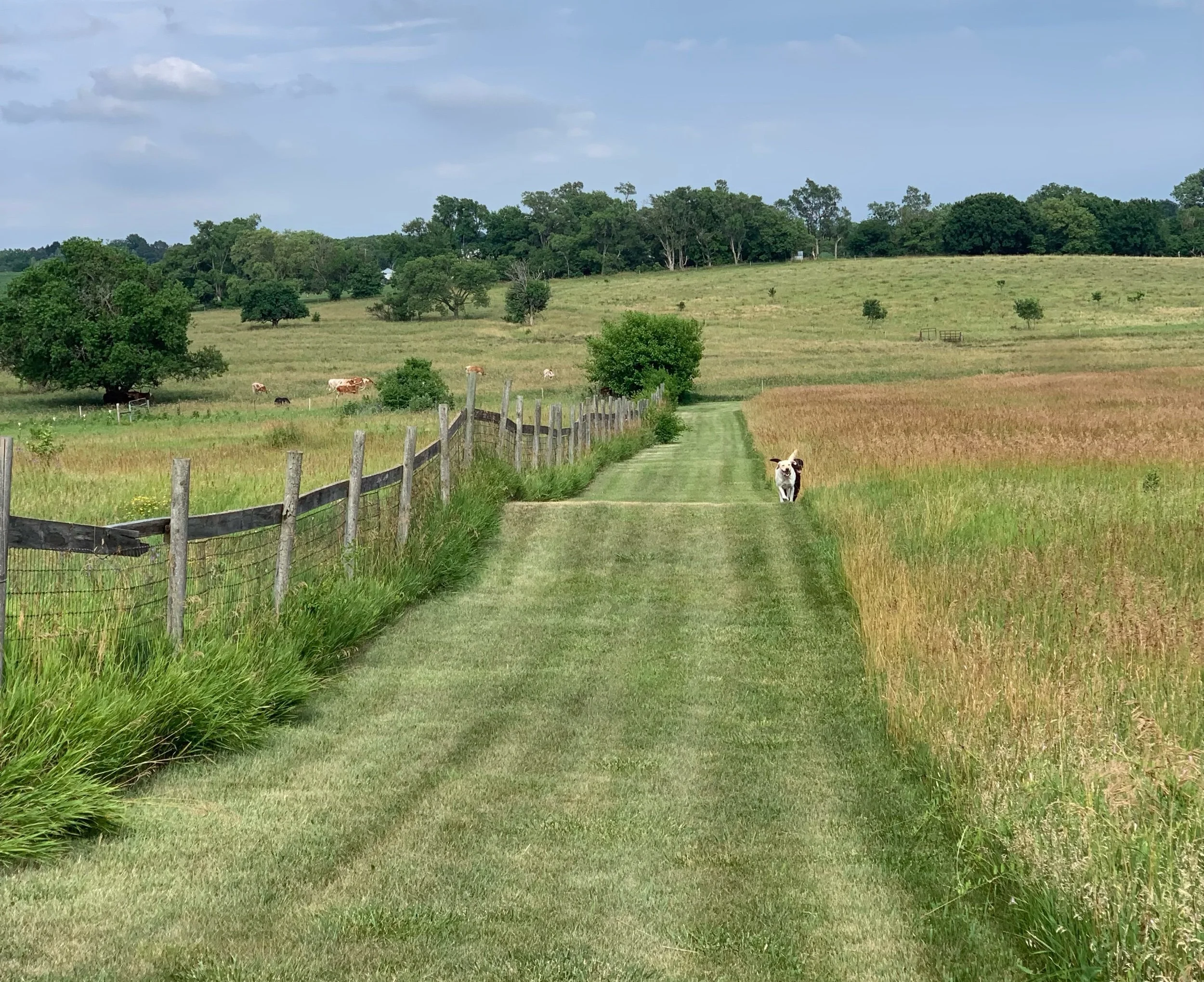 “It wasn’t my first tick rodeo.”