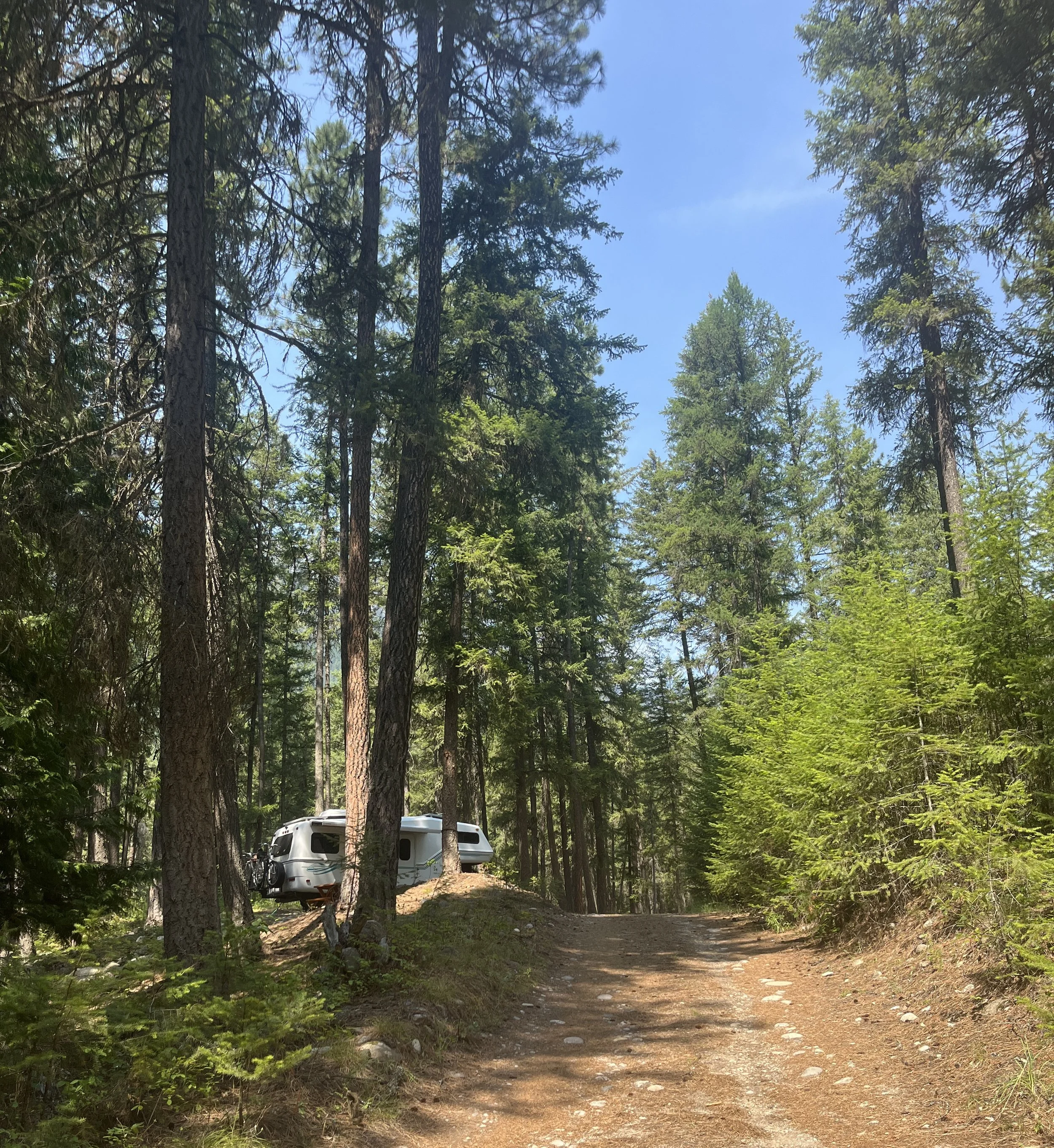 Valhalla Pines
