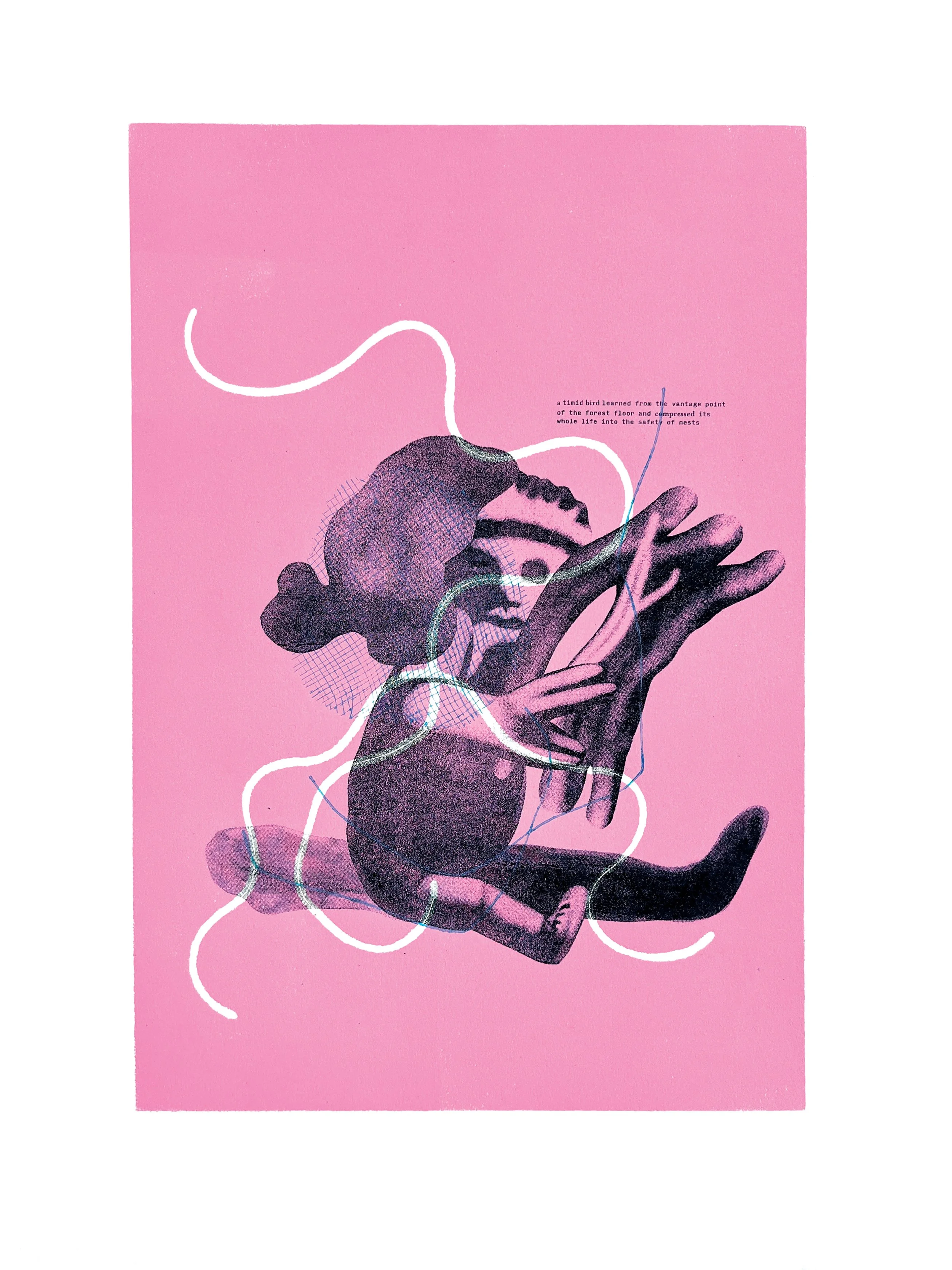 Ian's Final Thesis Monoprints6.jpg