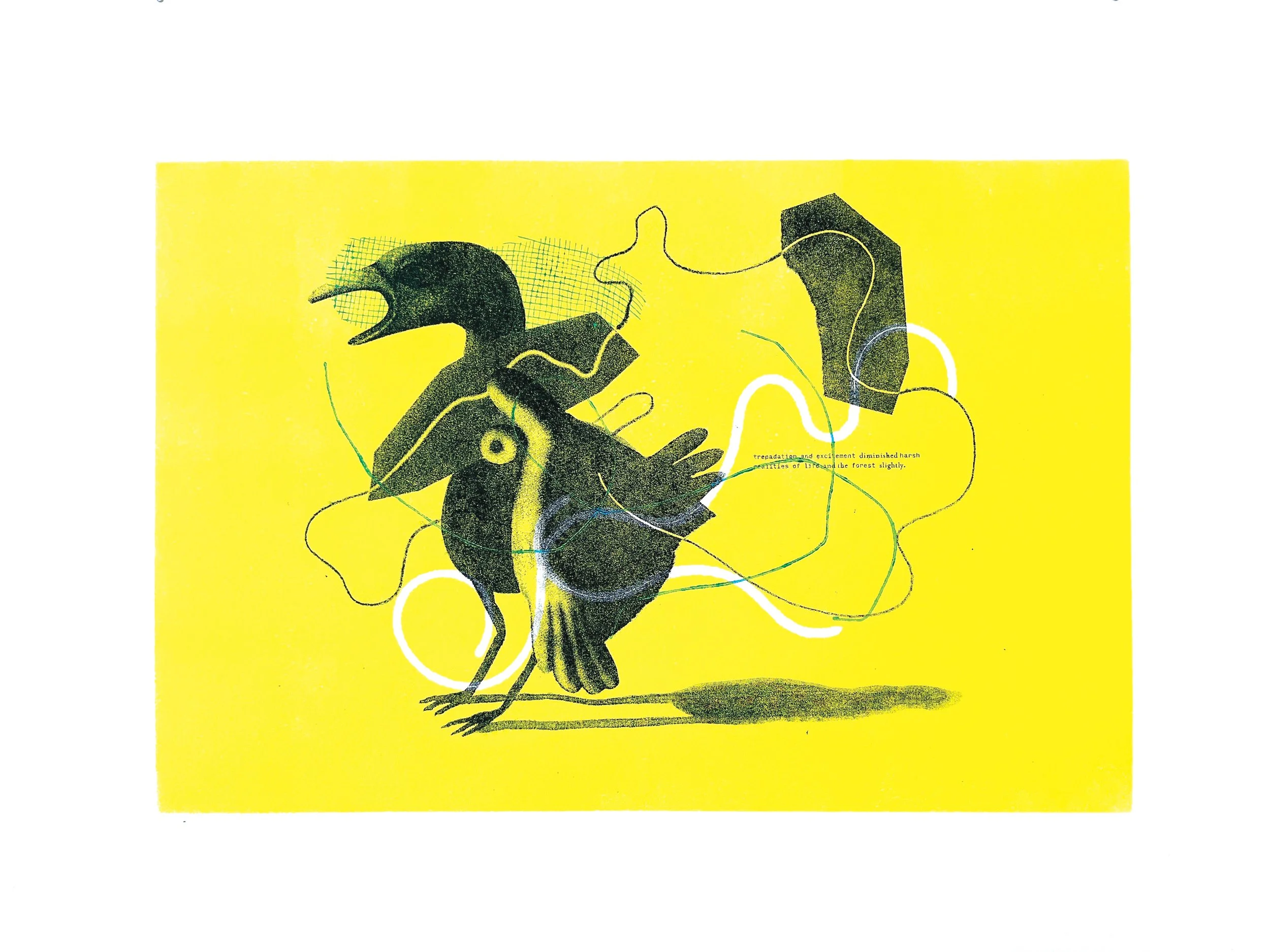 Ian's Final Thesis Monoprints4.jpg