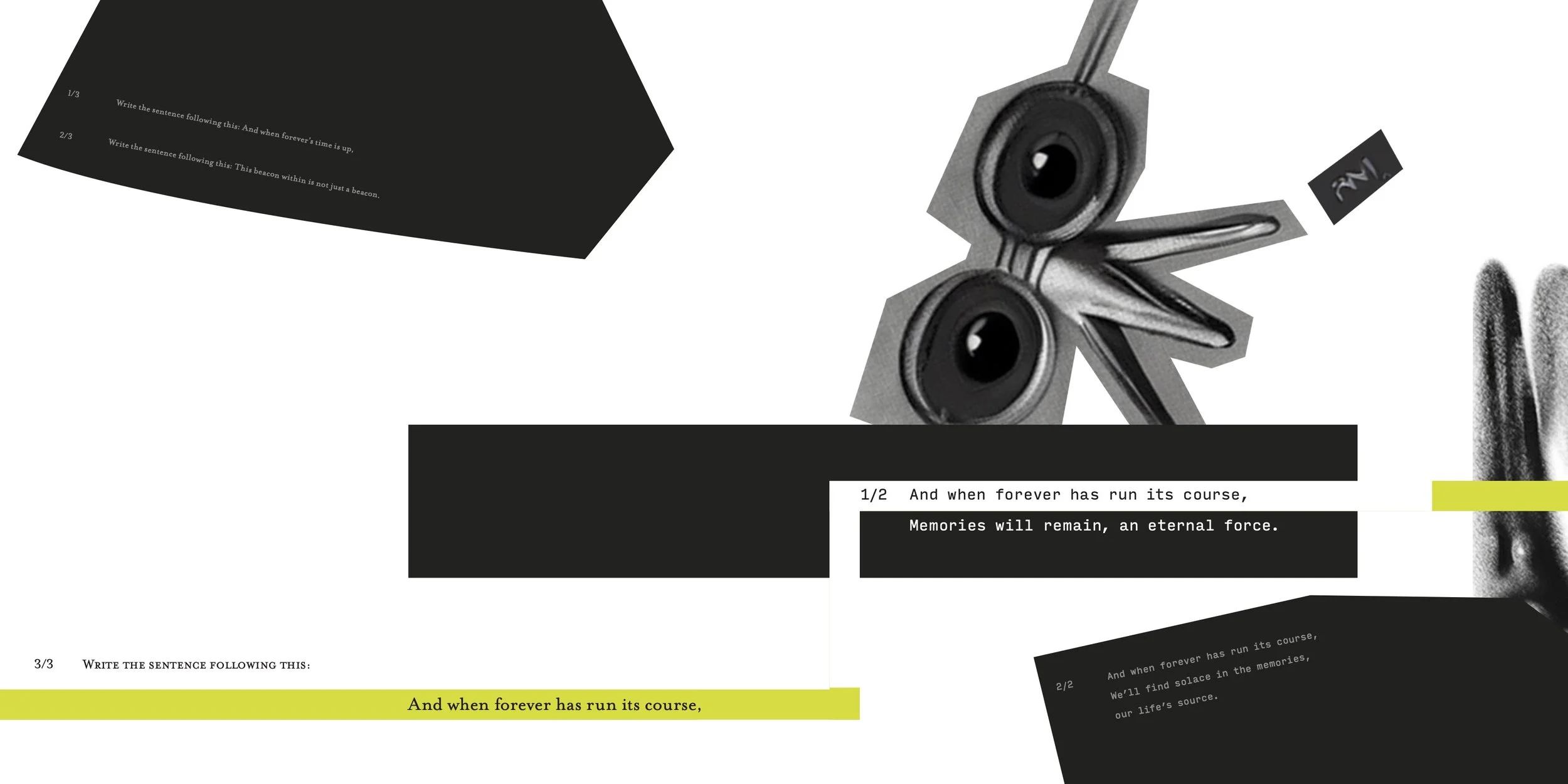 Bird Layout 2.3_08-09.jpg