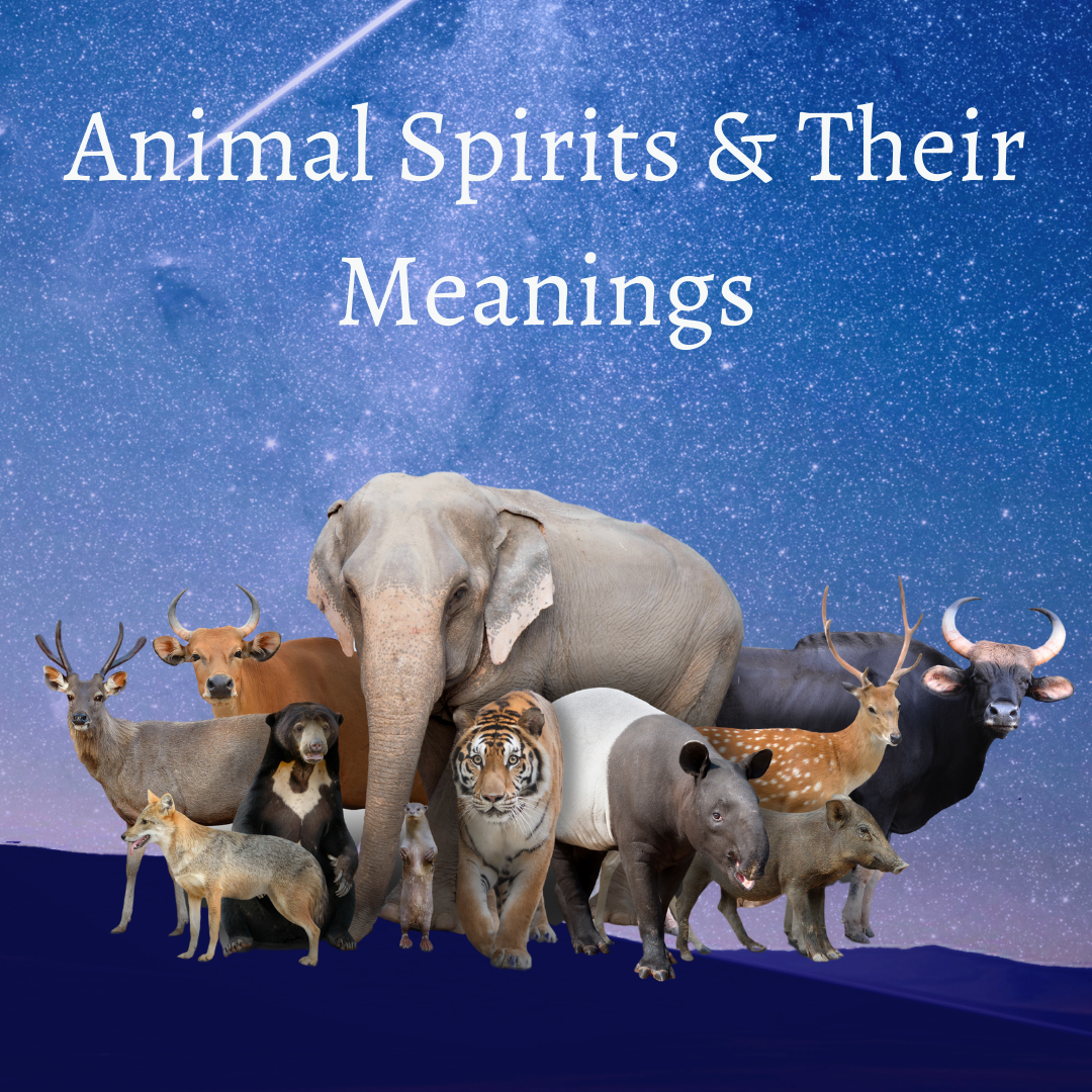 Animal Spirits & Their Meanings