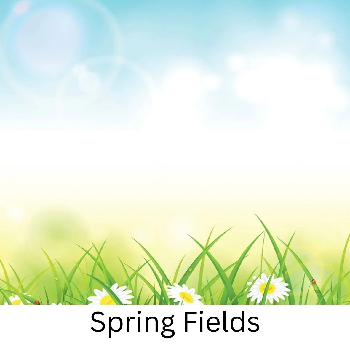 updated ModernBoothCo logo-2.jpg