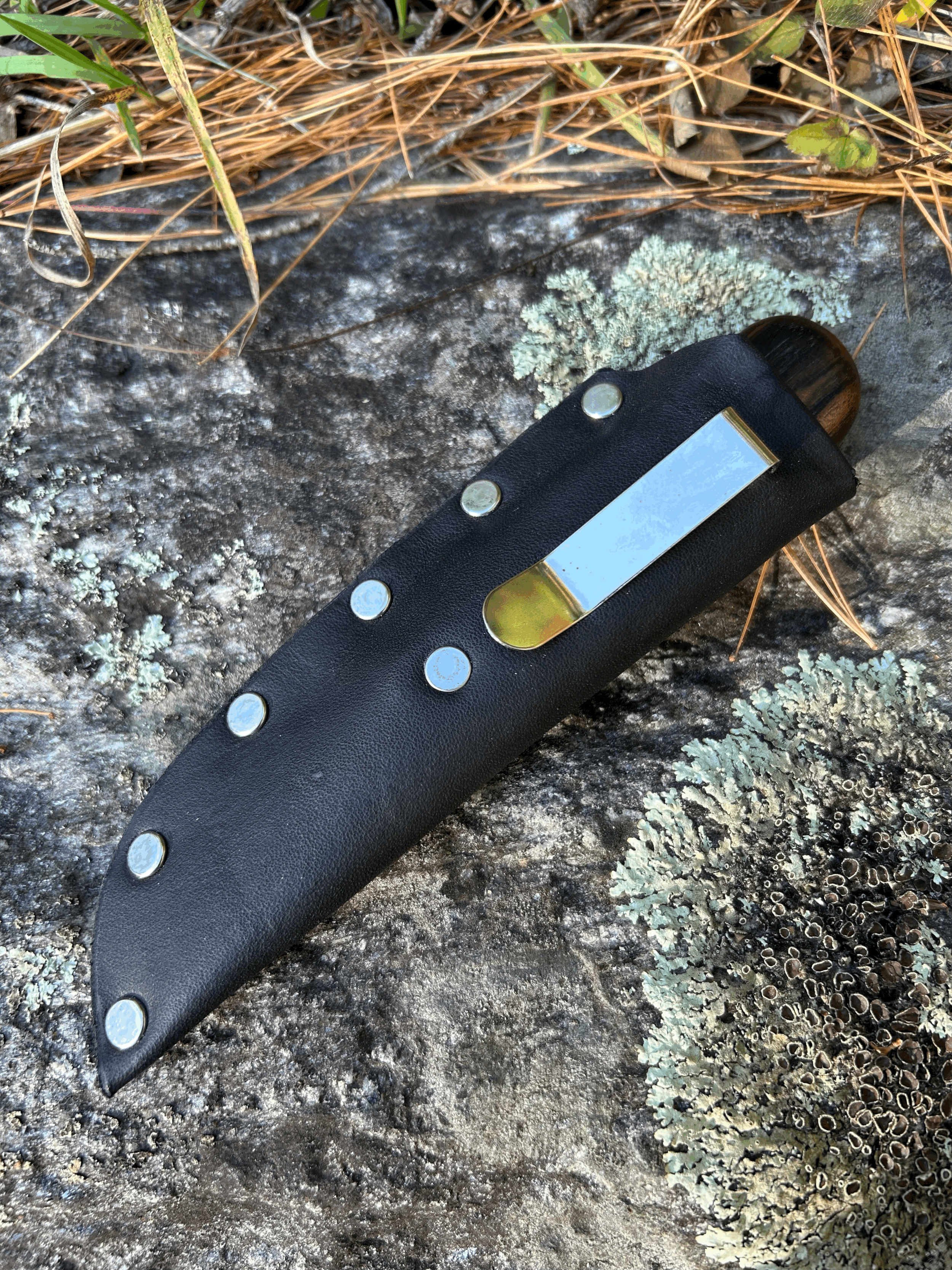 tempImageM6kgbI.gif