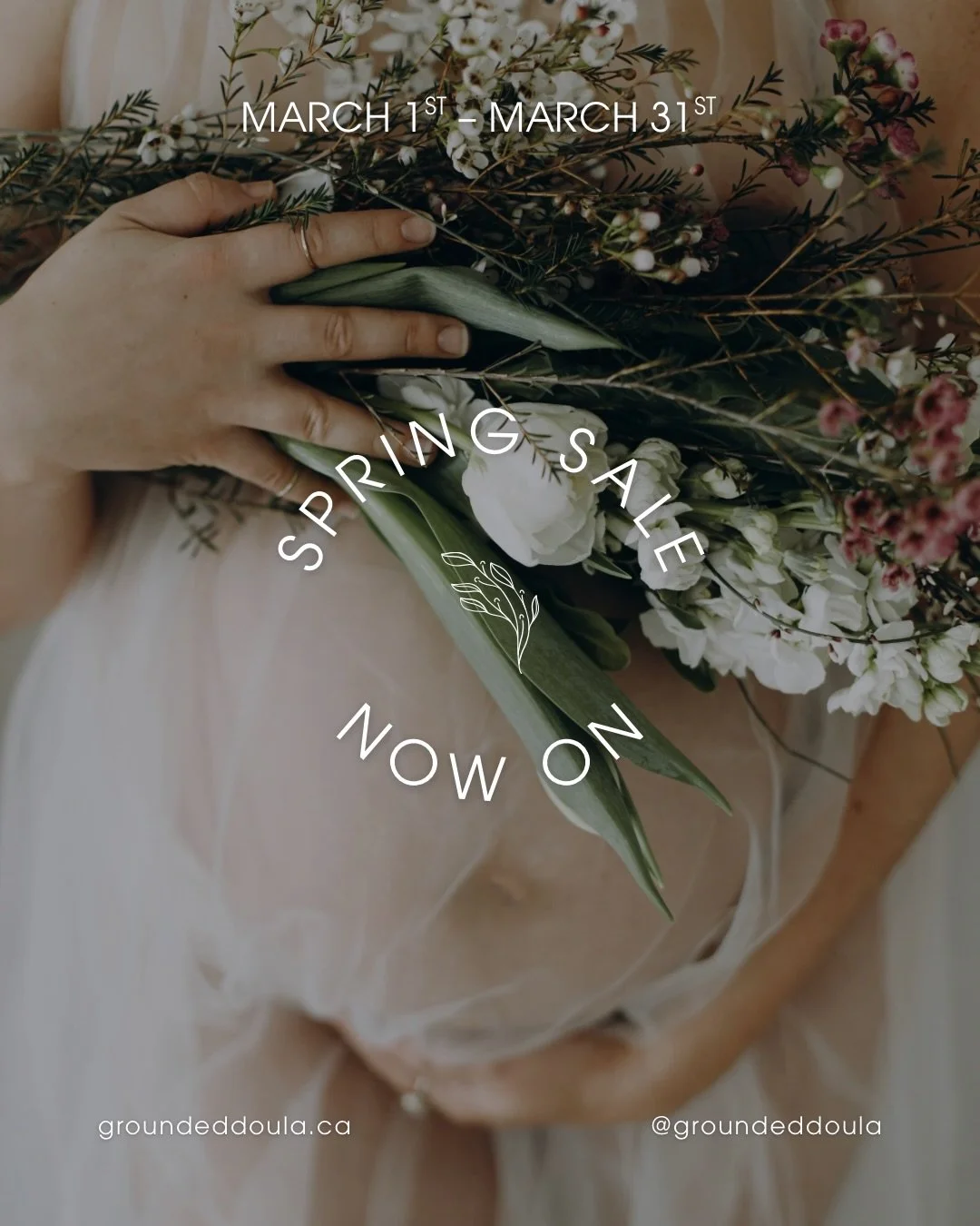 Who else is counting down to Spring?! 🌱

This Winter has been A LOT, and each day I see more sunshine has been giving me a little extra boost.

So let&rsquo;s celebrate with a Spring sale! 🎉

All new clients that book with me in March, will receive