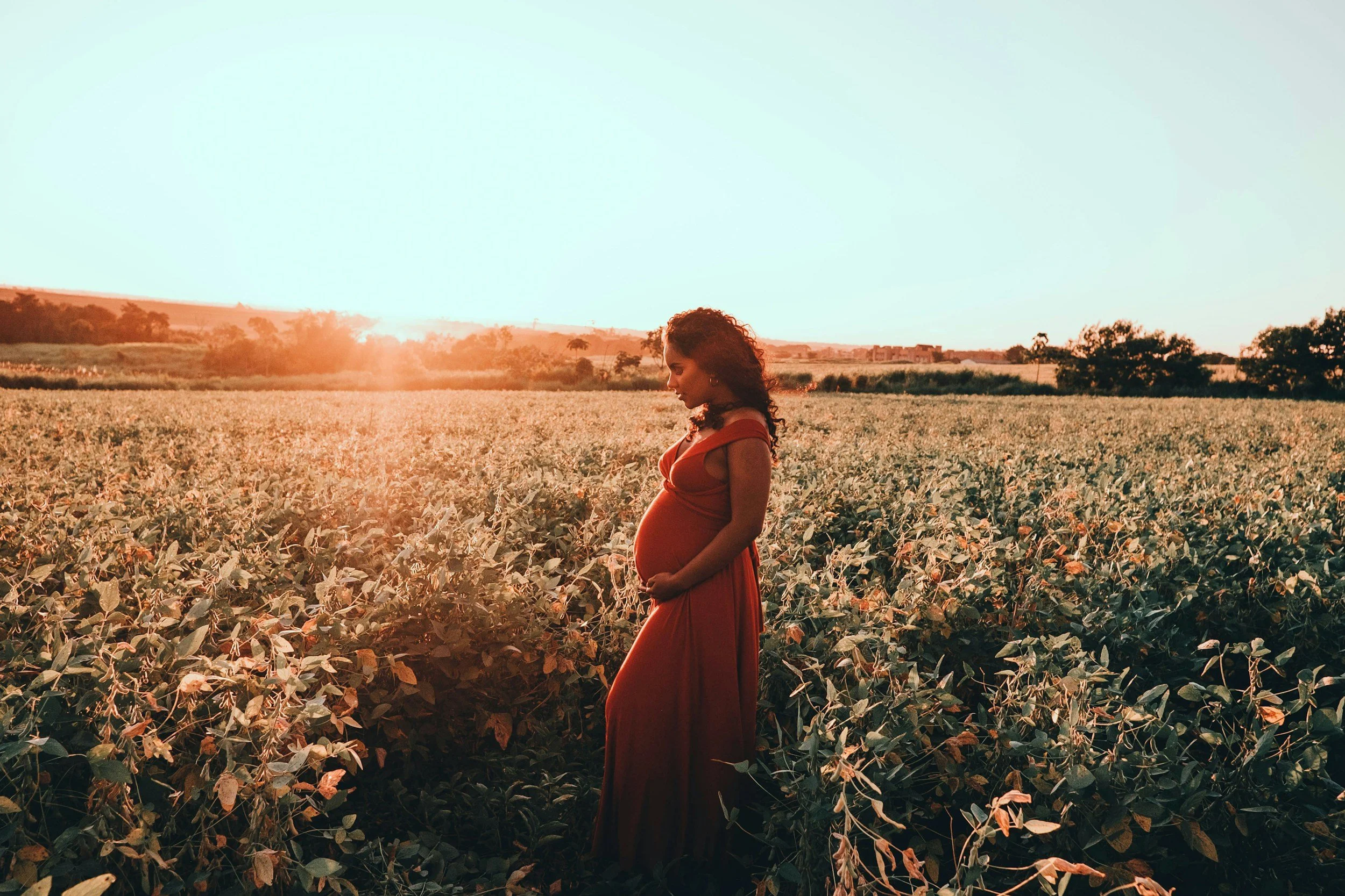 Pregnant woman wearing an orange dress in a field at sunset.