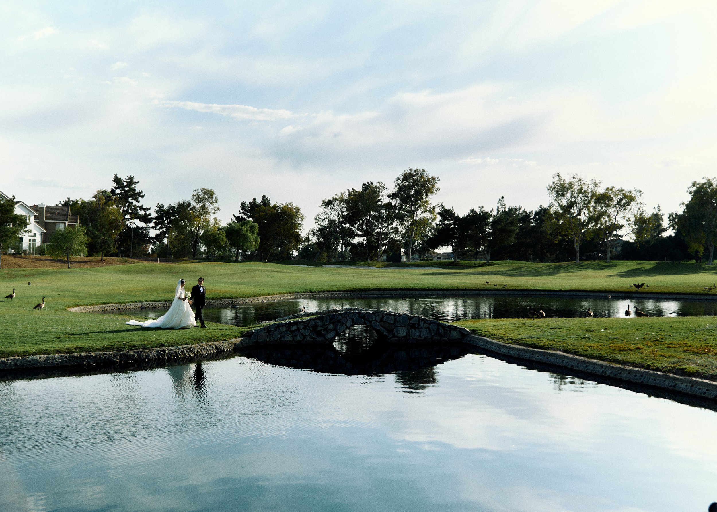 250531 amari wedding flora and jonathan-2913.jpg