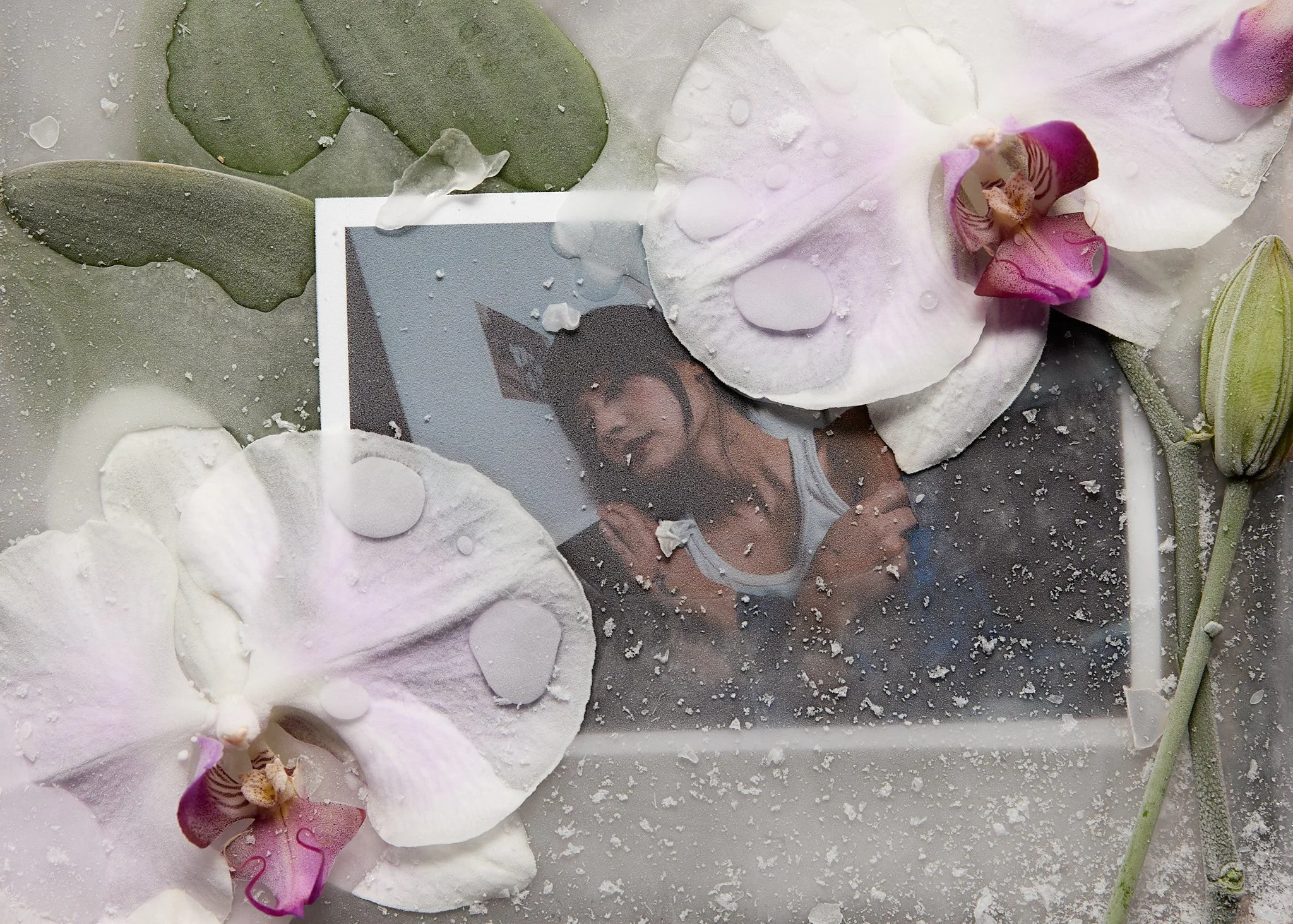 250718 shogue final-1.jpg