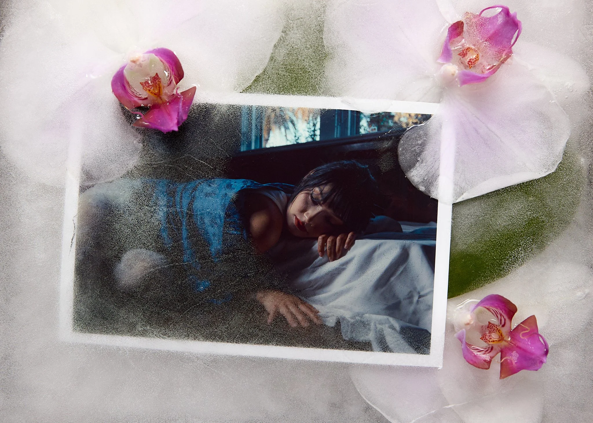 250718 shogue final-3.jpg