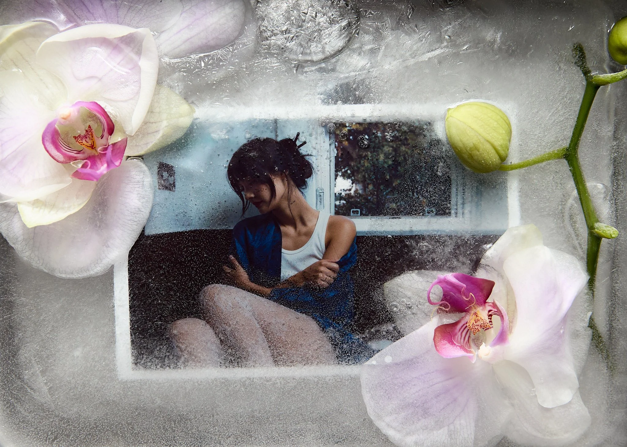 250718 shogue final-4.jpg