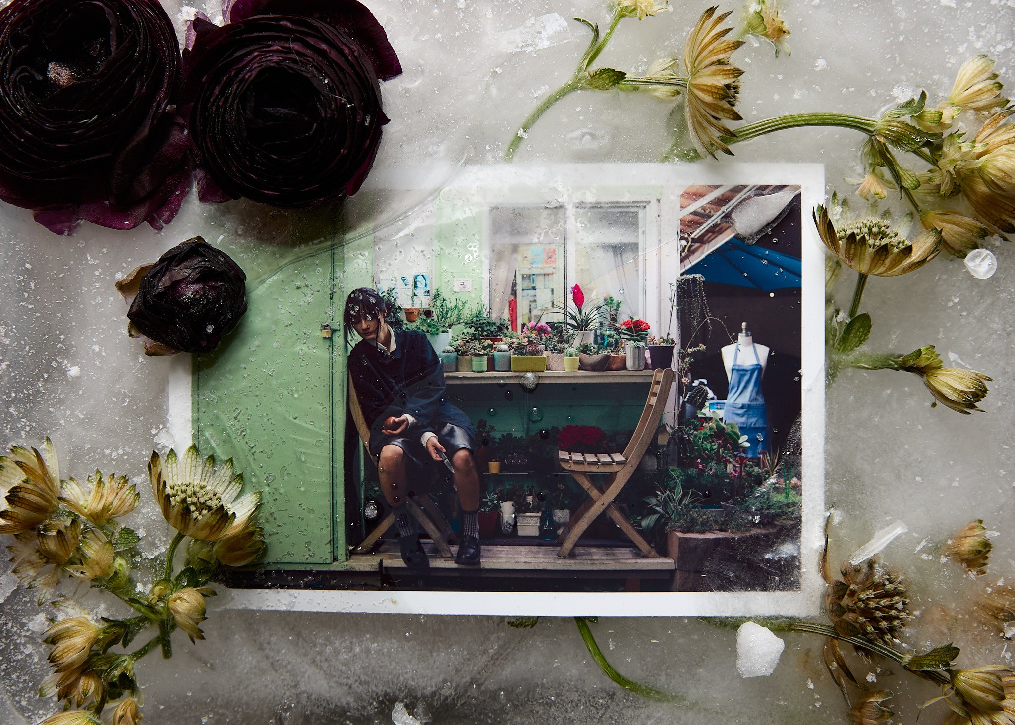 250718 shogue final-6.jpg