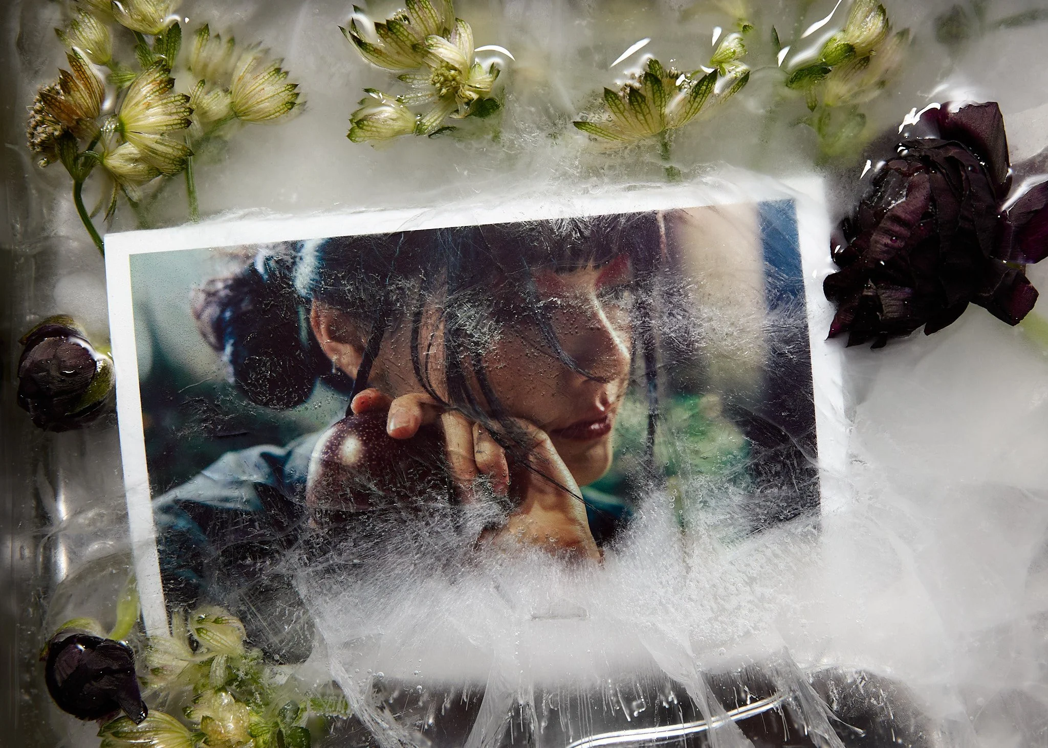 250718 shogue final-7.jpg