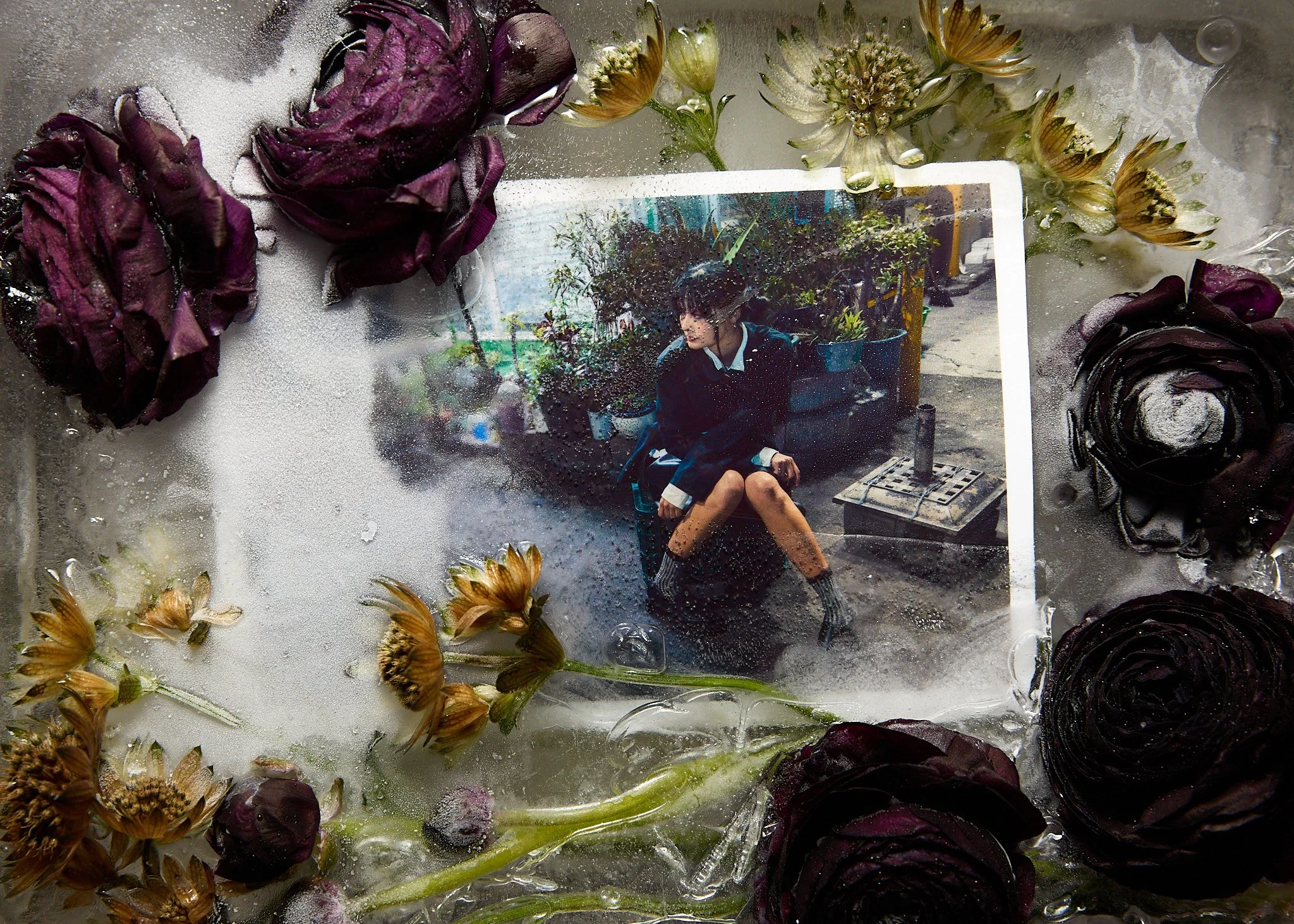 250718 shogue final-8.jpg