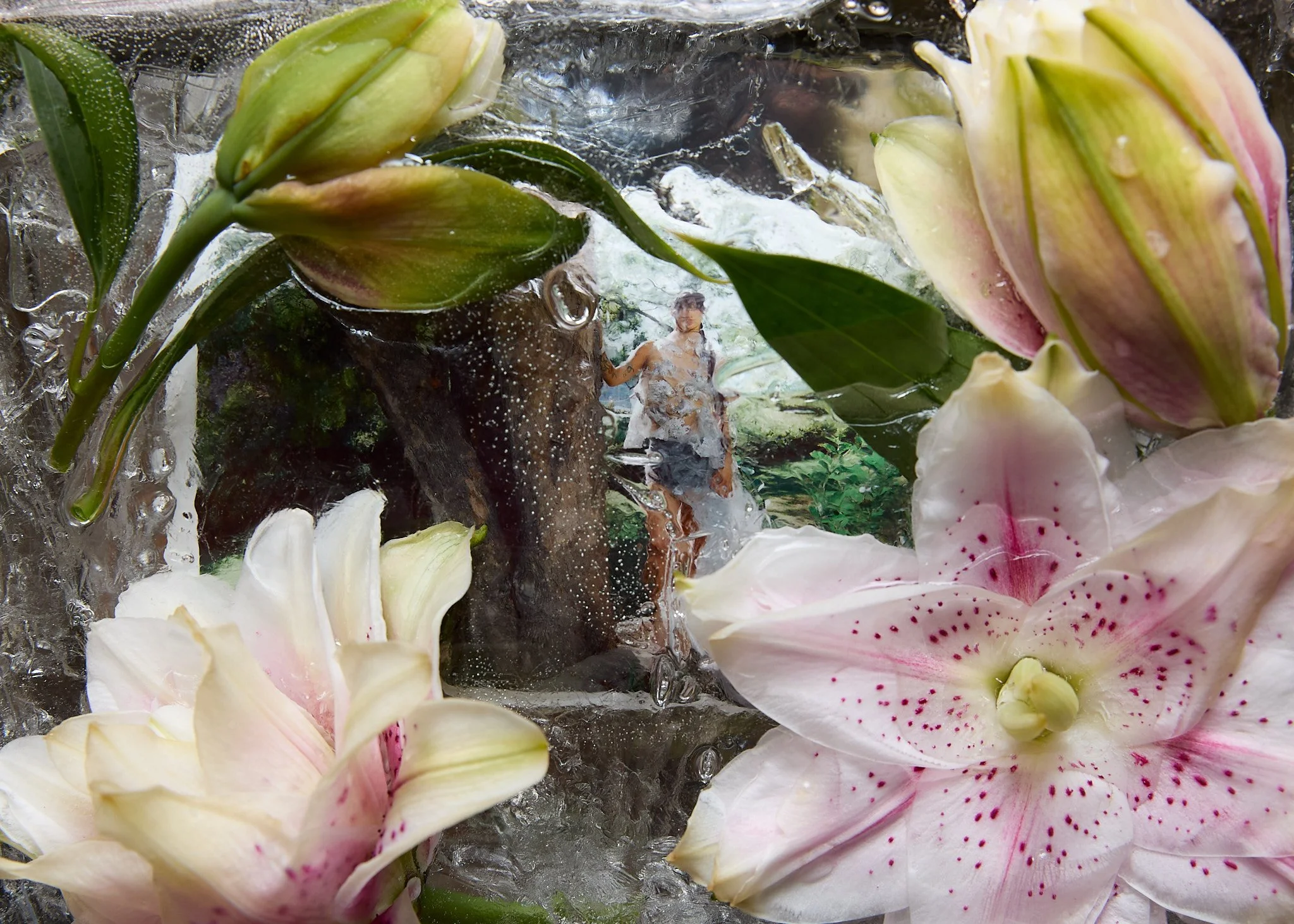 250718 shogue final-10.jpg