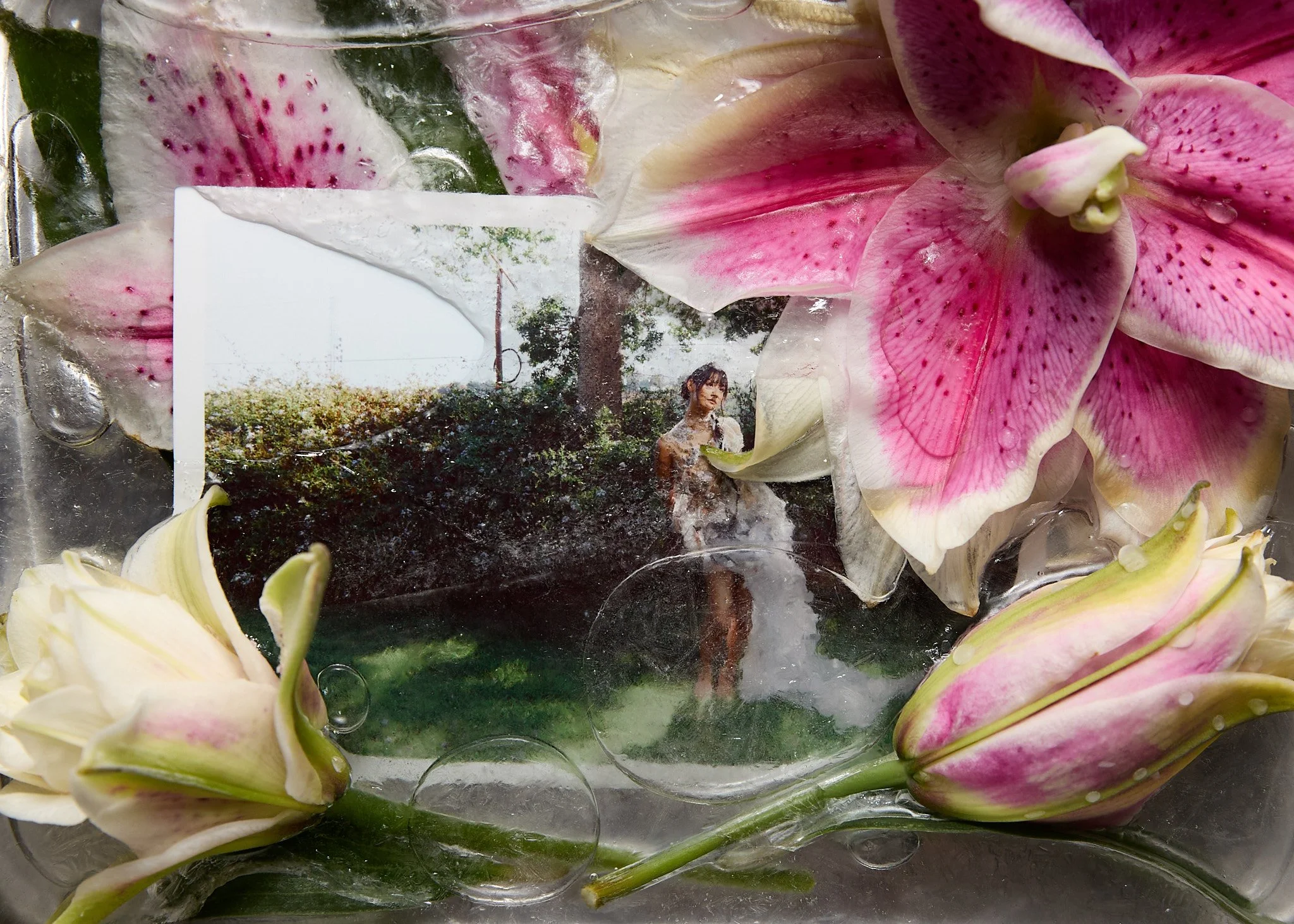 250718 shogue final-13.jpg