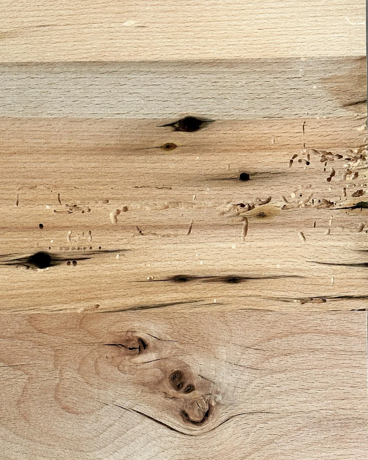 Trying to get all the sawdust out of the post Beatle bug holes before staining