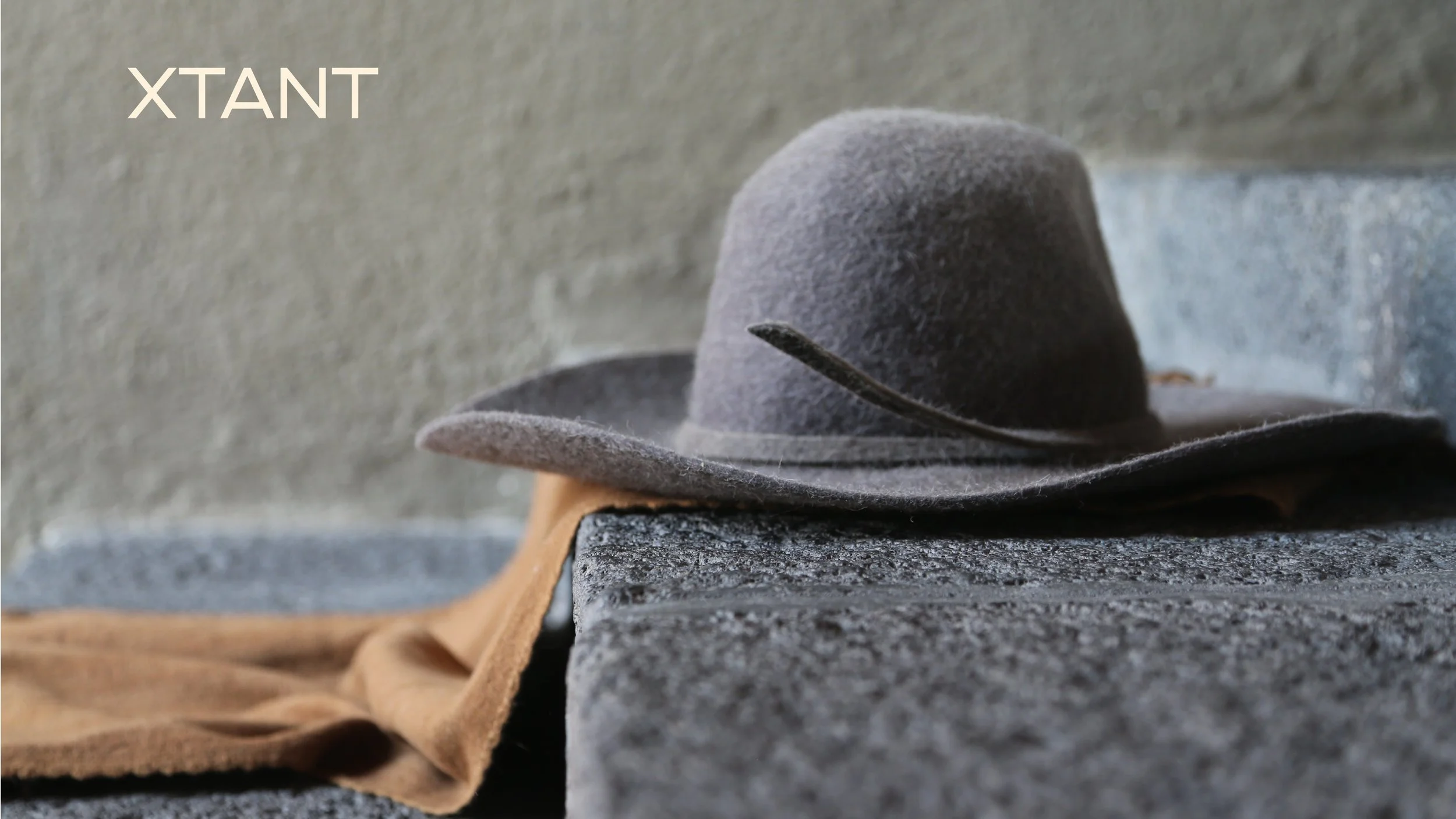 XTANT Landing page pic 5.jpg