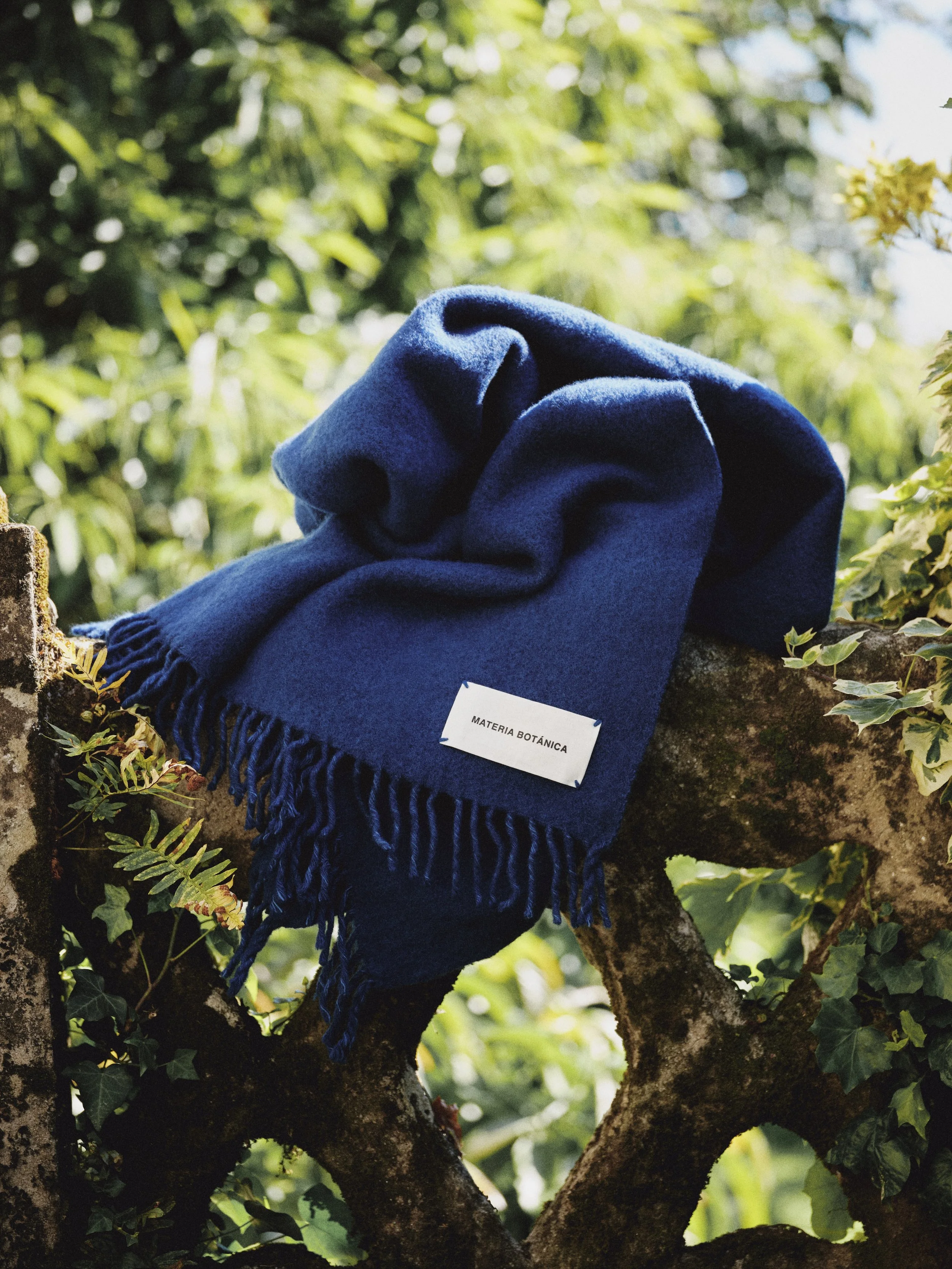 MATERIA BOTANICA 2539780.jpeg