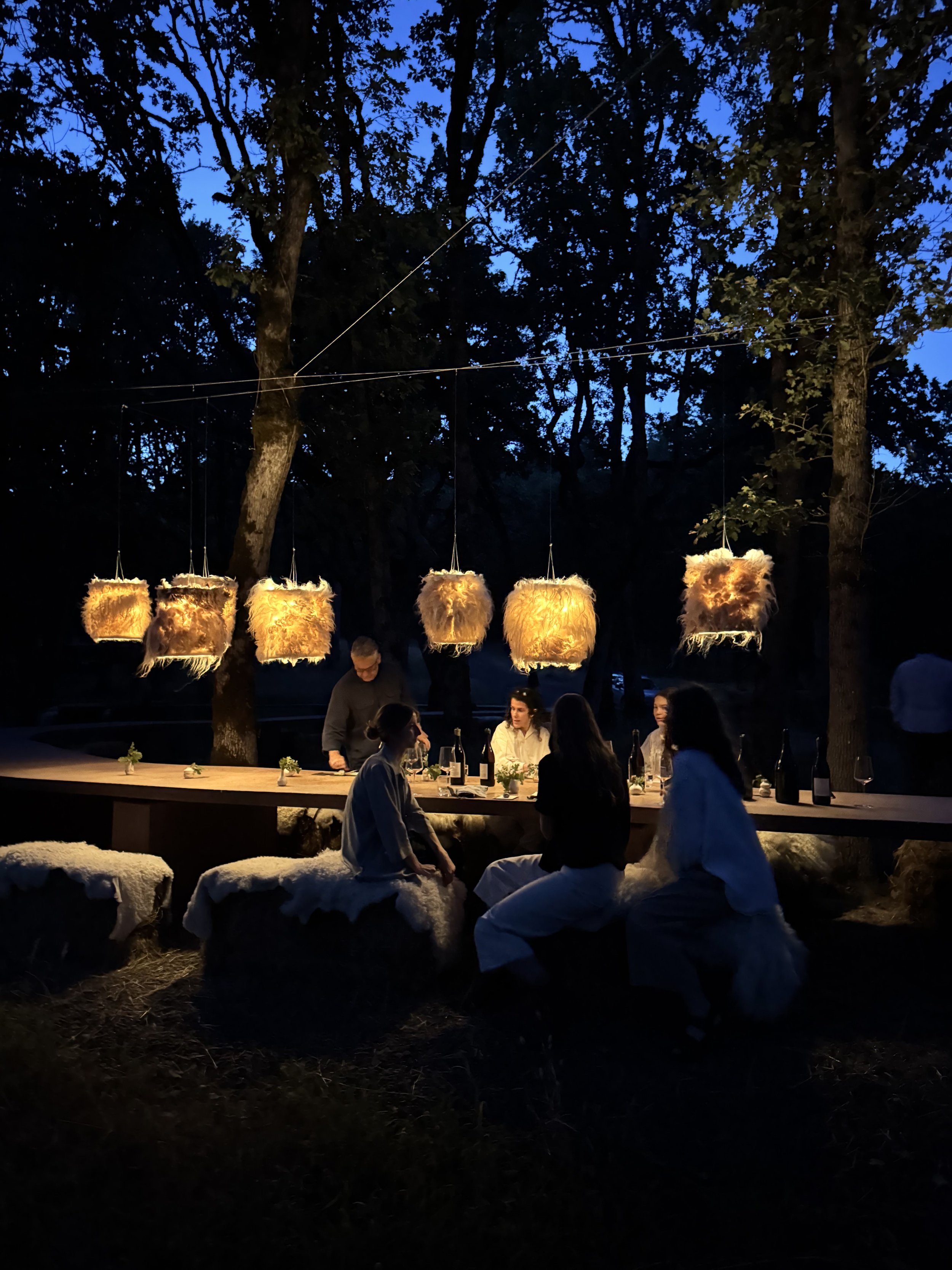 Felted Lampshade.jpg