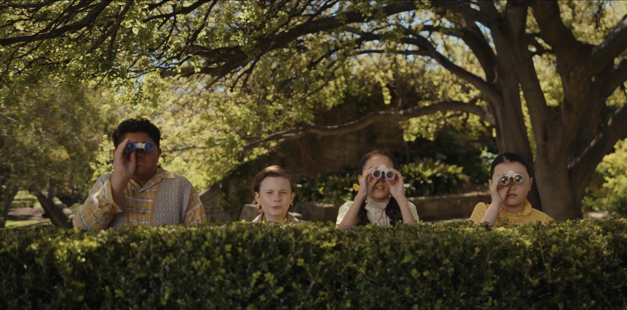 Fiona Donovan Caper crew hedge view.jpg