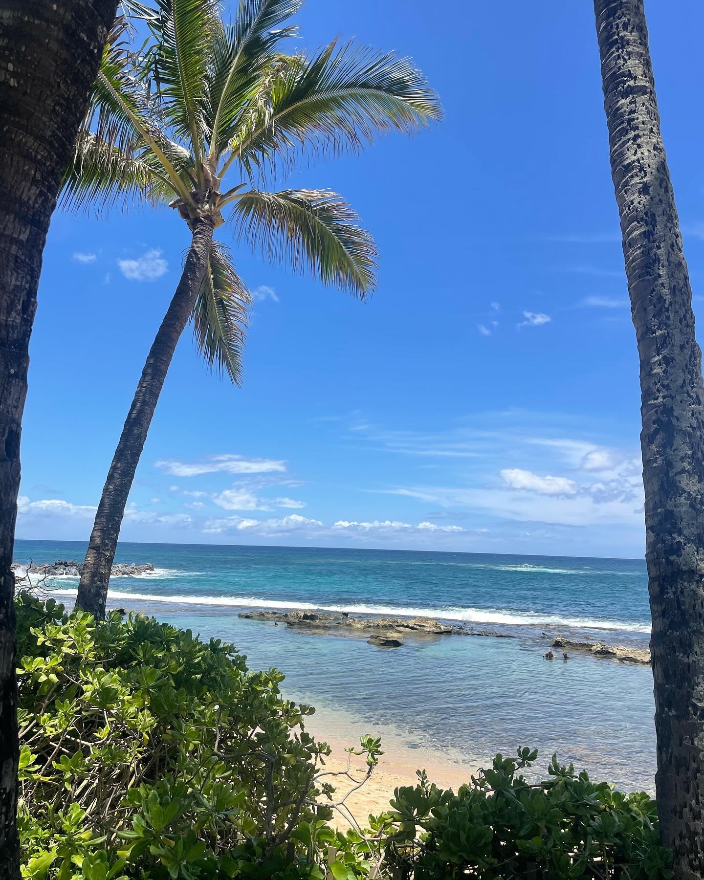 In moments of stress or difficulty, finding solace in a happy place can be incredibly powerful. For me, that place is a warm, tropical beach. 🌴✨ 

Visualizing this serene environment helps me tap into the sensory experiences that bring me joy and pe
