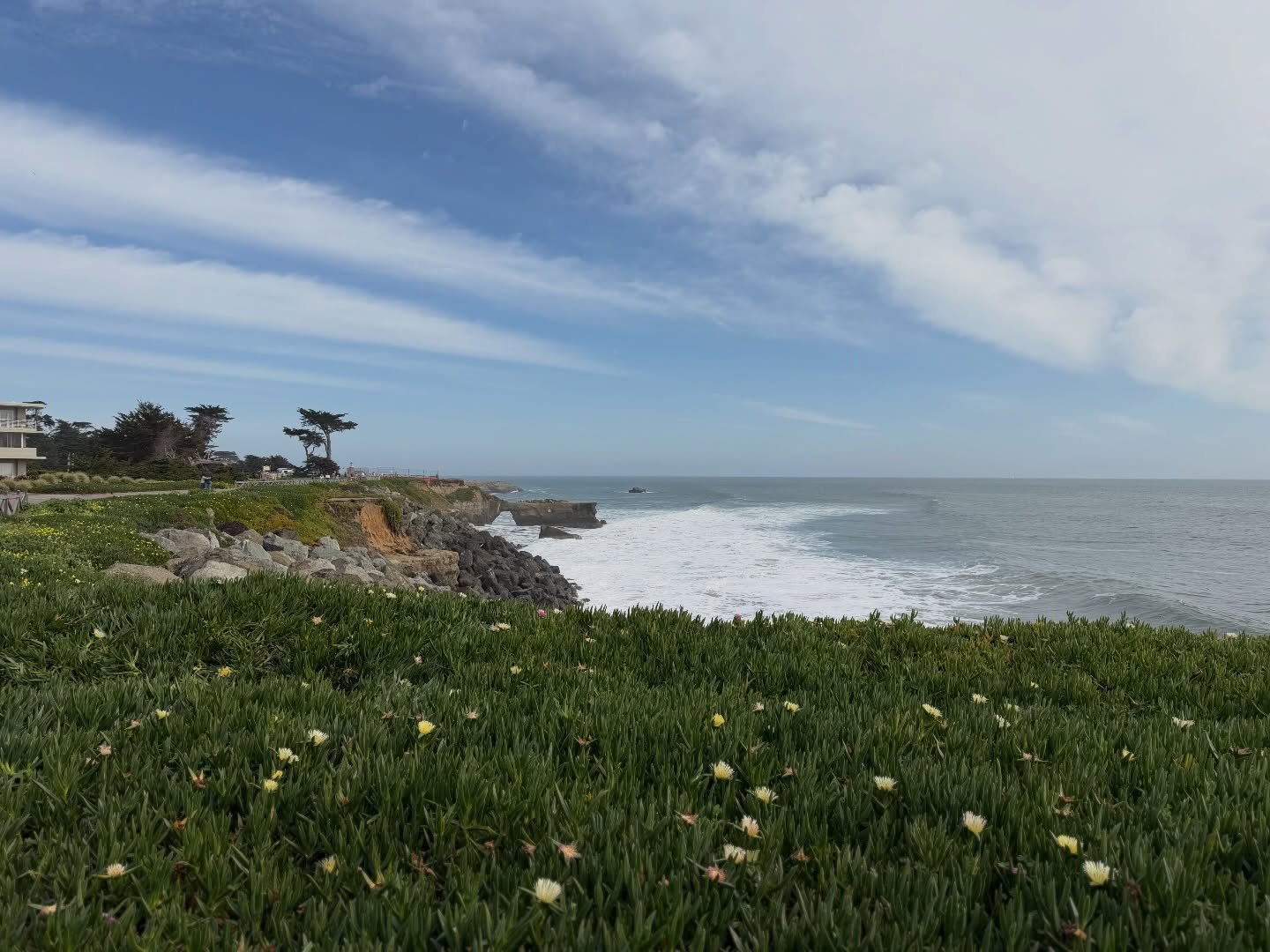Timeline cleanse.
Santa Cruz on a sunny Saturday last weekend.